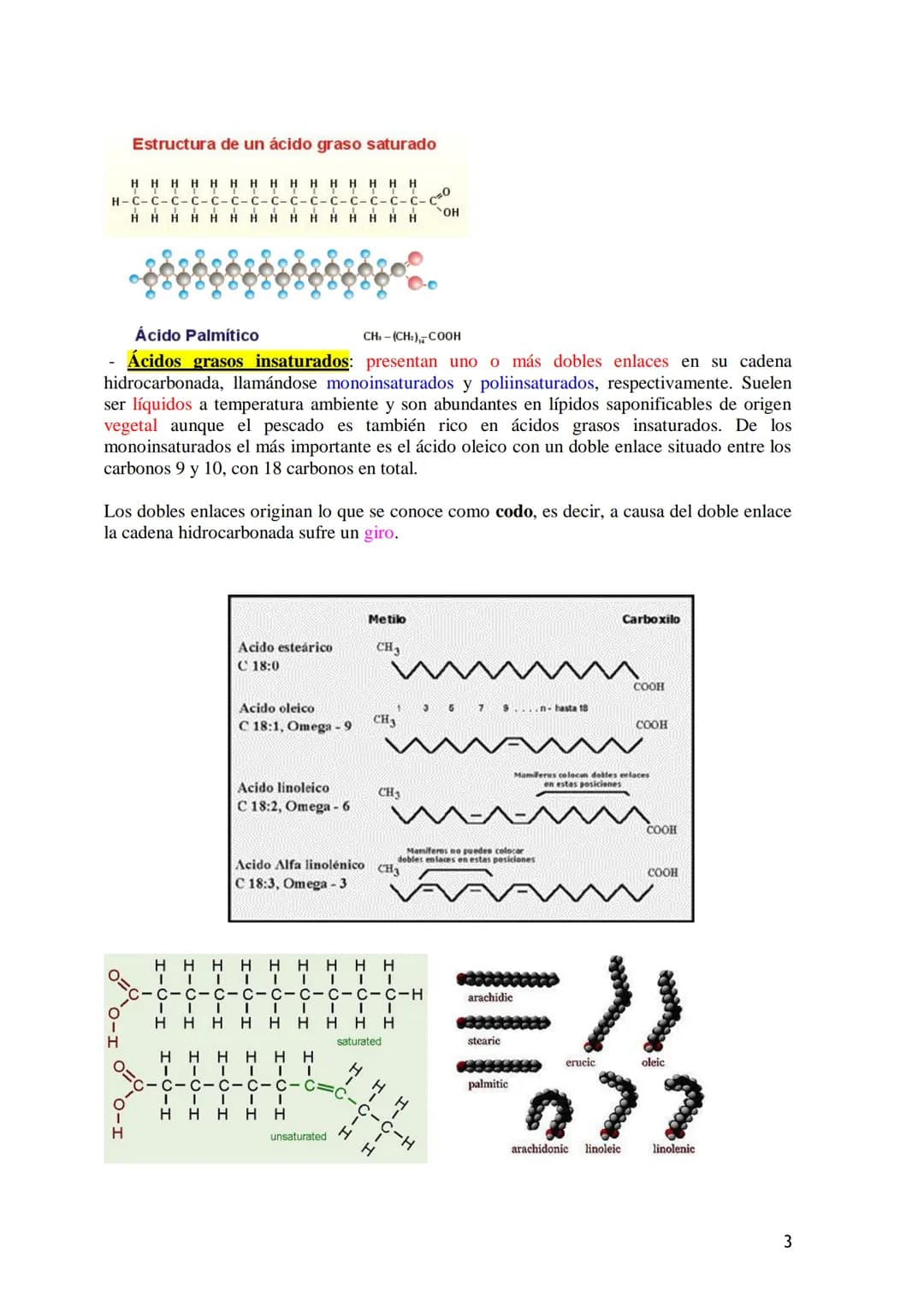 TEMA 3.- LÍPIDOS

1. Generalidades: Composición química, funciones generales (energética, estructural
y biocatalizadora).y clasificación: lí