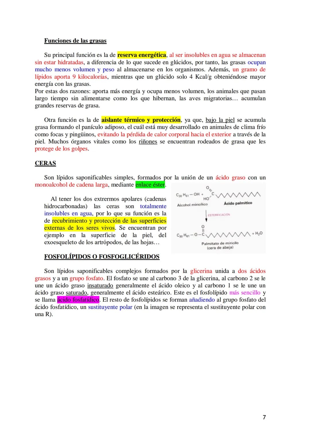 TEMA 3.- LÍPIDOS

1. Generalidades: Composición química, funciones generales (energética, estructural
y biocatalizadora).y clasificación: lí