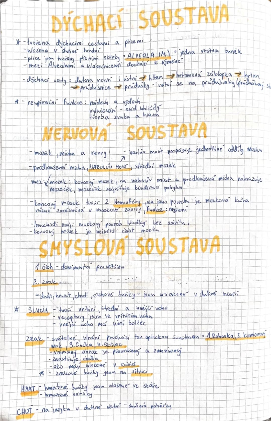 # SAVCI

Vývoj savcu:
- objevují se koncem triasu v druhohovach
-jsou to hmyzožravci, žijících ve skupinách
(v novach) = pruni
- největší vo