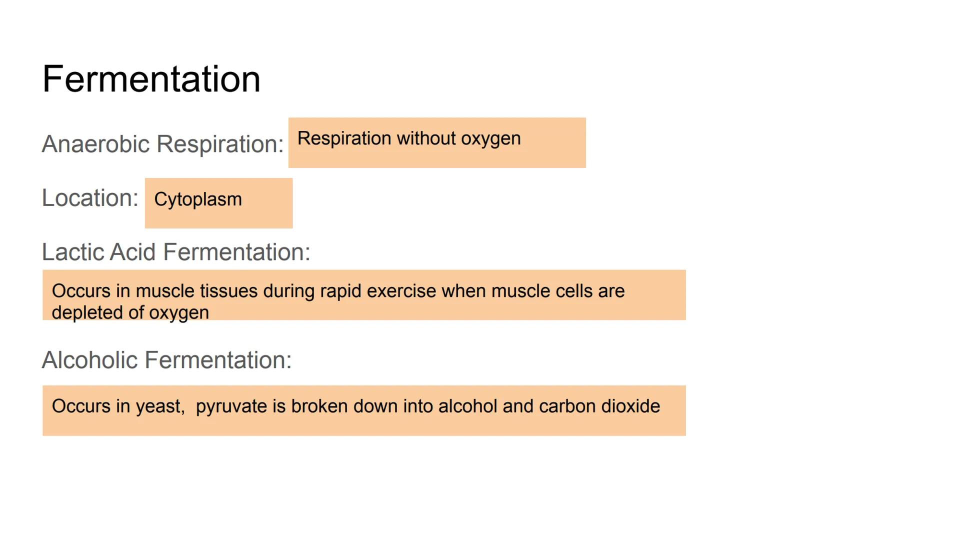 Fermentation # Fermentation

Anaerobic Respiration: Respiration without oxygen

Location: Cytoplasm

Lactic Acid Fermentation:

Occurs in mu