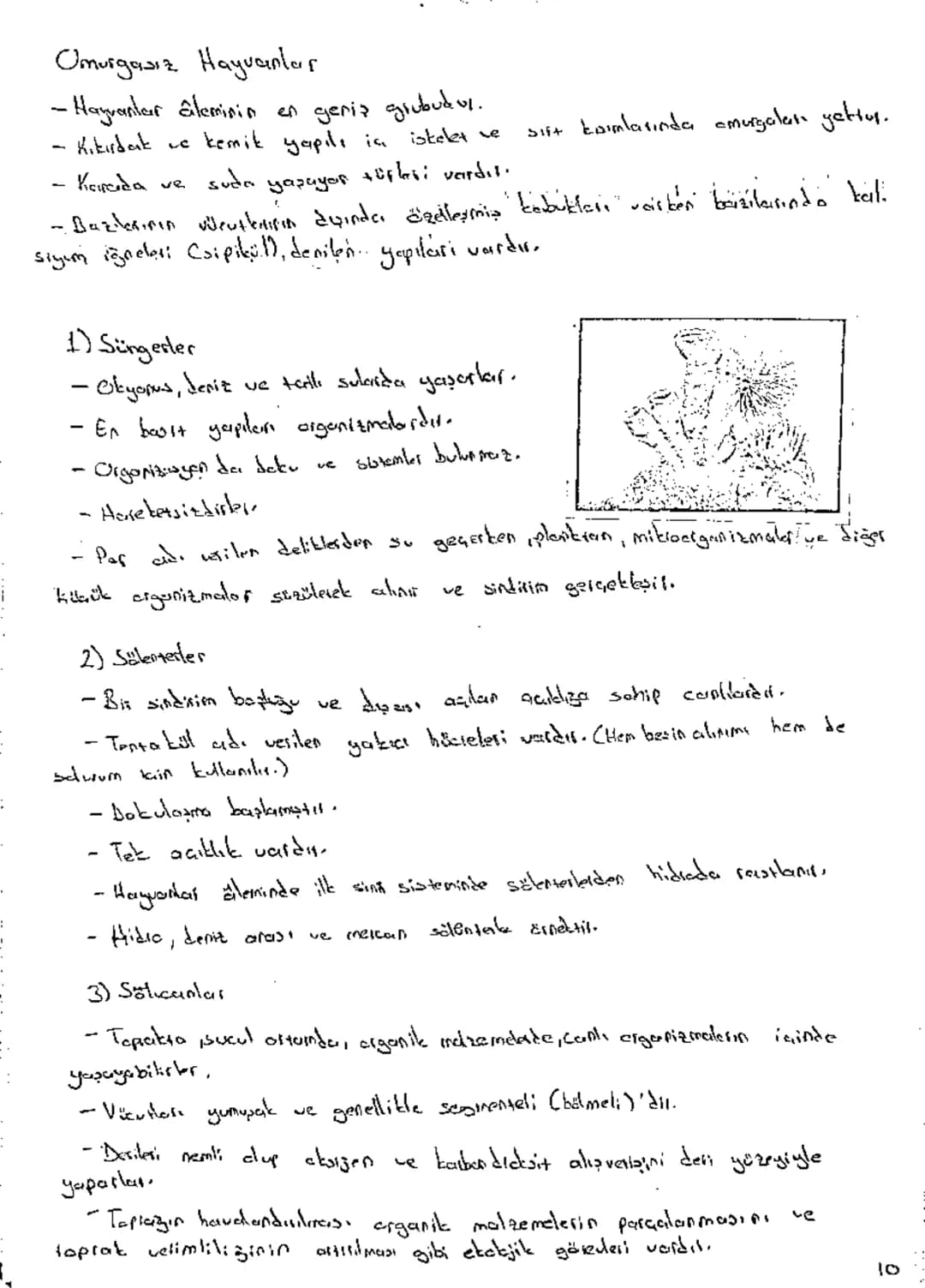 Biyalaji: Canlıların yapılarını ve
işlevlerini inceleyerek yaşımın dağasını anlaşılma.
いう
gardimai alen bilim dalıdır.
i
Bilimin Dağası

11 