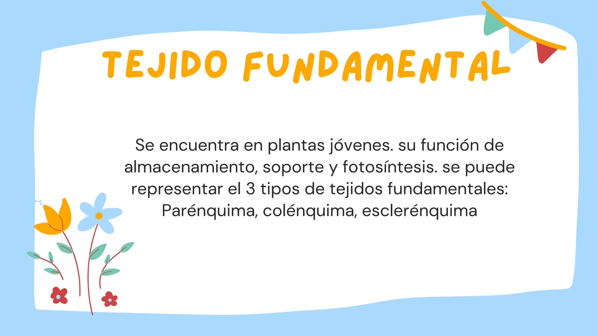 TOMAS SANTIAGO BELTRAN

ÁLBUM
PROYECTO
FINAL

6° INDICE

TEJIDOS VEGETALES

-TEJIDO MERISTEMATICO

-TEJIDO DERMICO PROTECTOR

-TEJIDO FUNDAM