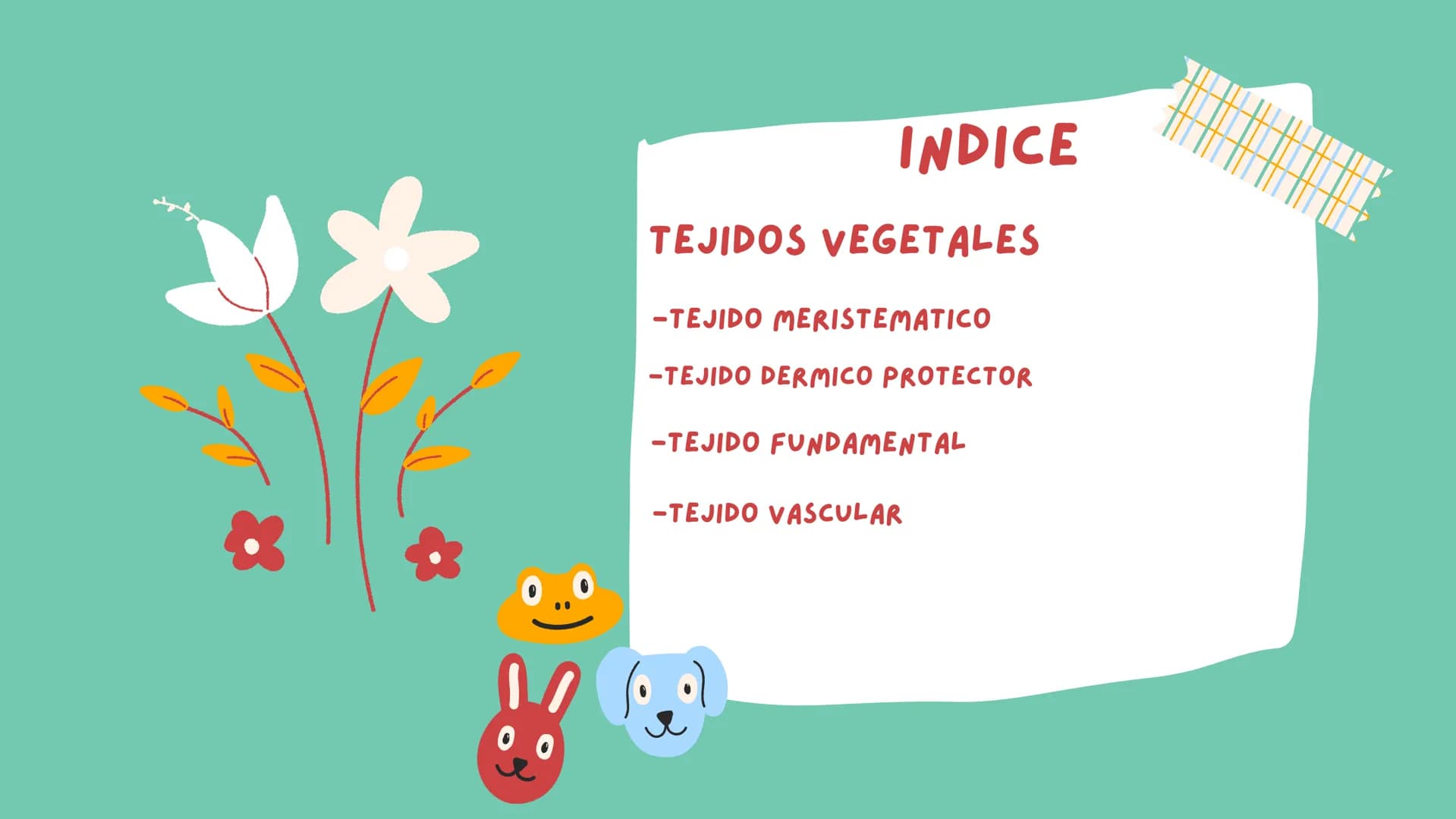 TOMAS SANTIAGO BELTRAN

ÁLBUM
PROYECTO
FINAL

6° INDICE

TEJIDOS VEGETALES

-TEJIDO MERISTEMATICO

-TEJIDO DERMICO PROTECTOR

-TEJIDO FUNDAM