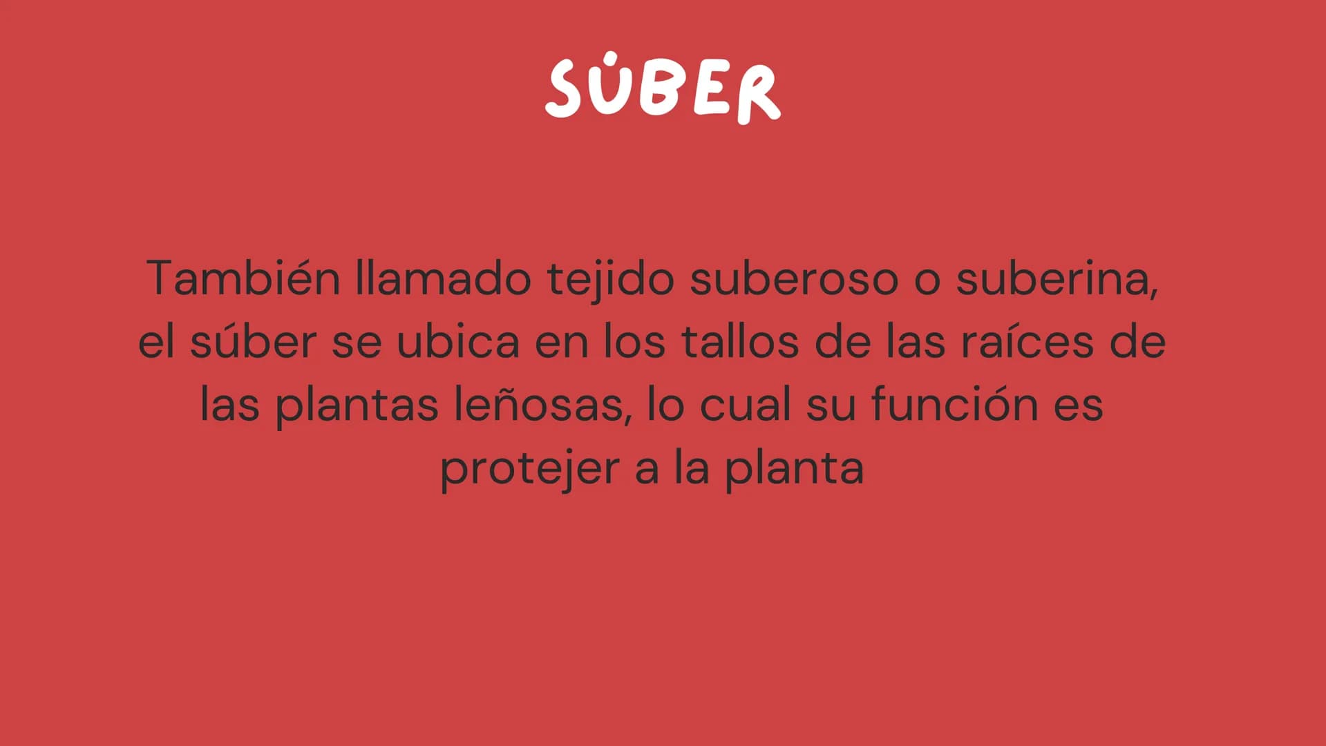 TOMAS SANTIAGO BELTRAN

ÁLBUM
PROYECTO
FINAL

6° INDICE

TEJIDOS VEGETALES

-TEJIDO MERISTEMATICO

-TEJIDO DERMICO PROTECTOR

-TEJIDO FUNDAM