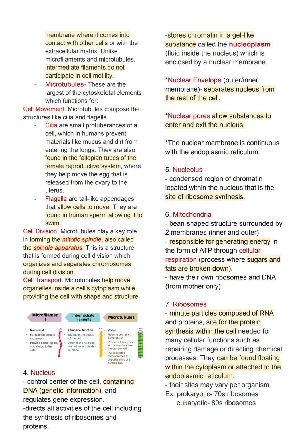 # Intro to Human
Anatomy and Physiology

Types of Cells (according to
structure)

Prokaryotic Cell
- These are small cells that lack a
nucle