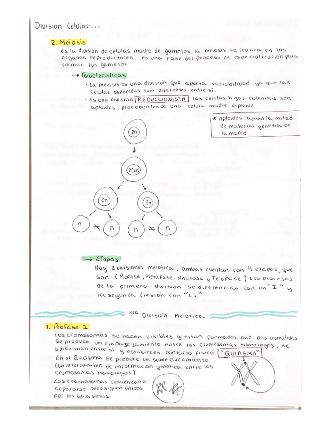 # Division celular (ciclo celular)

Son el conjunto de procesos que se realizan desoe que se origina una
Celula, hasta el momento de entrar 