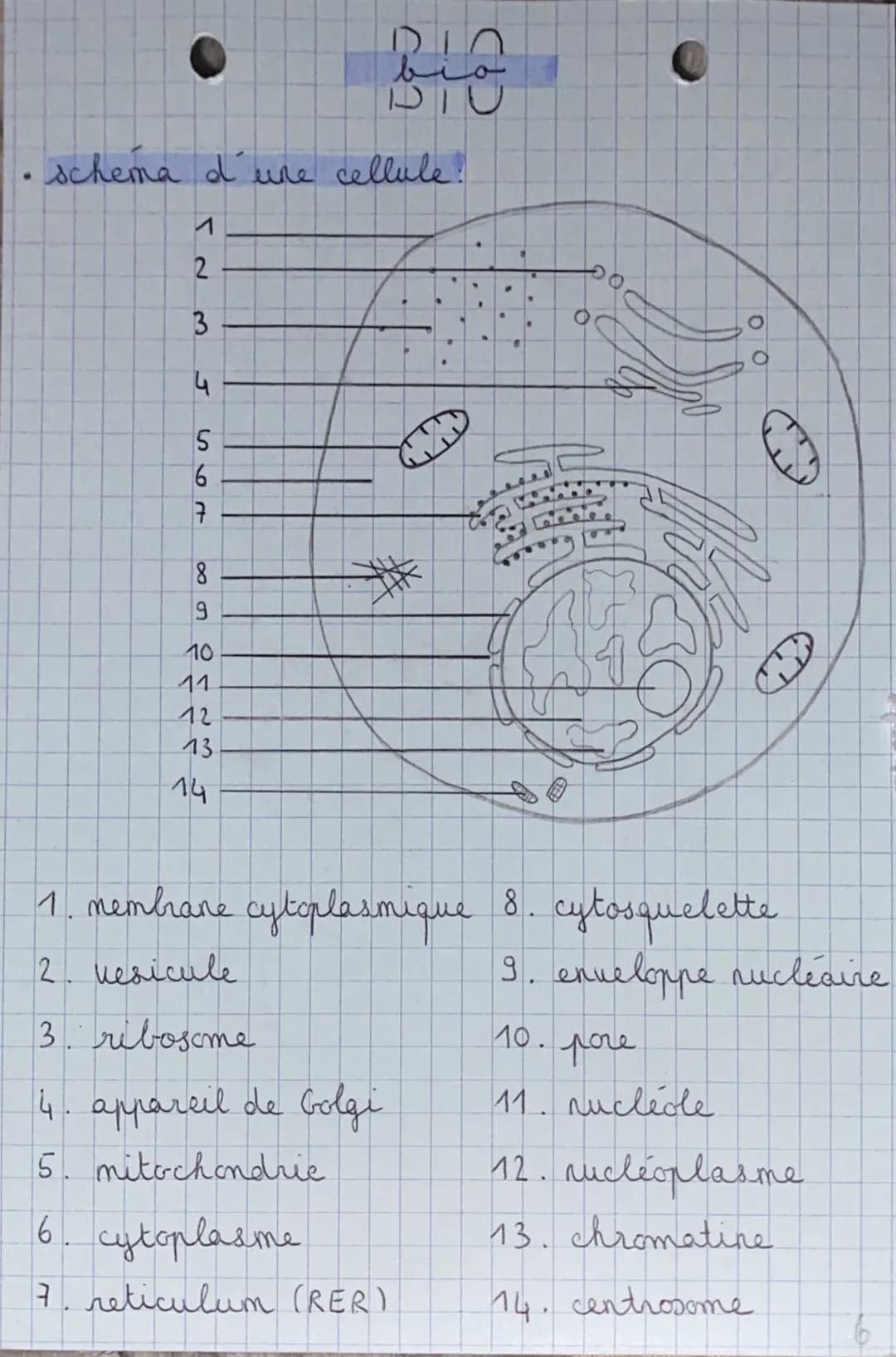 RIO
bio
DIU

- schema d'une cellule!

1
2
3
4
5
6
7
8
9
10
11
12
13
14

1. membrane cytoplasmique 8. cytosquelette.
2. vesicule
3. ribosome
