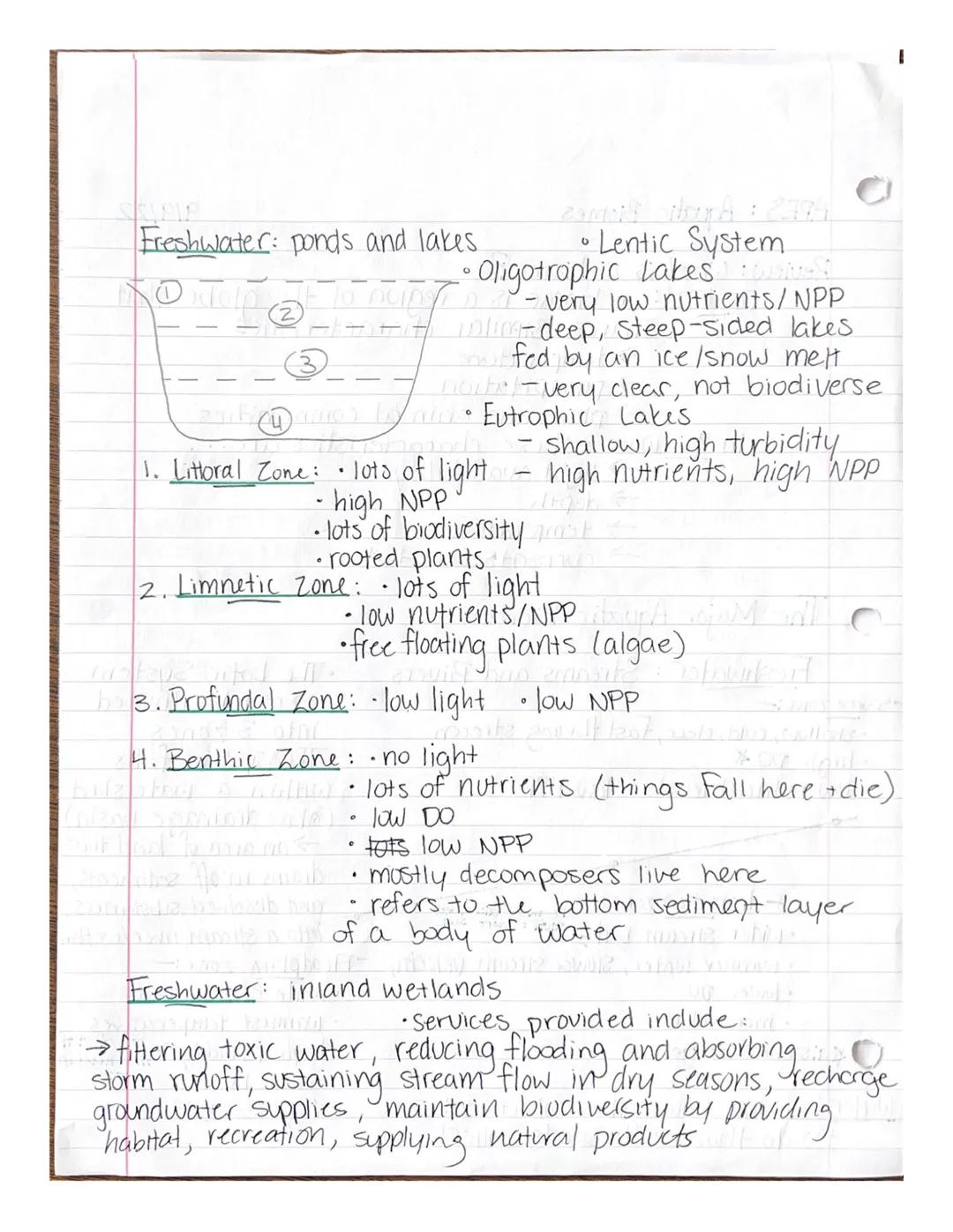 APES: Aquatic Biomes
9/9/22
Review: What is a biome?
•on land: a biome is a region of the globe that
Shares similar characteristics
→ temper