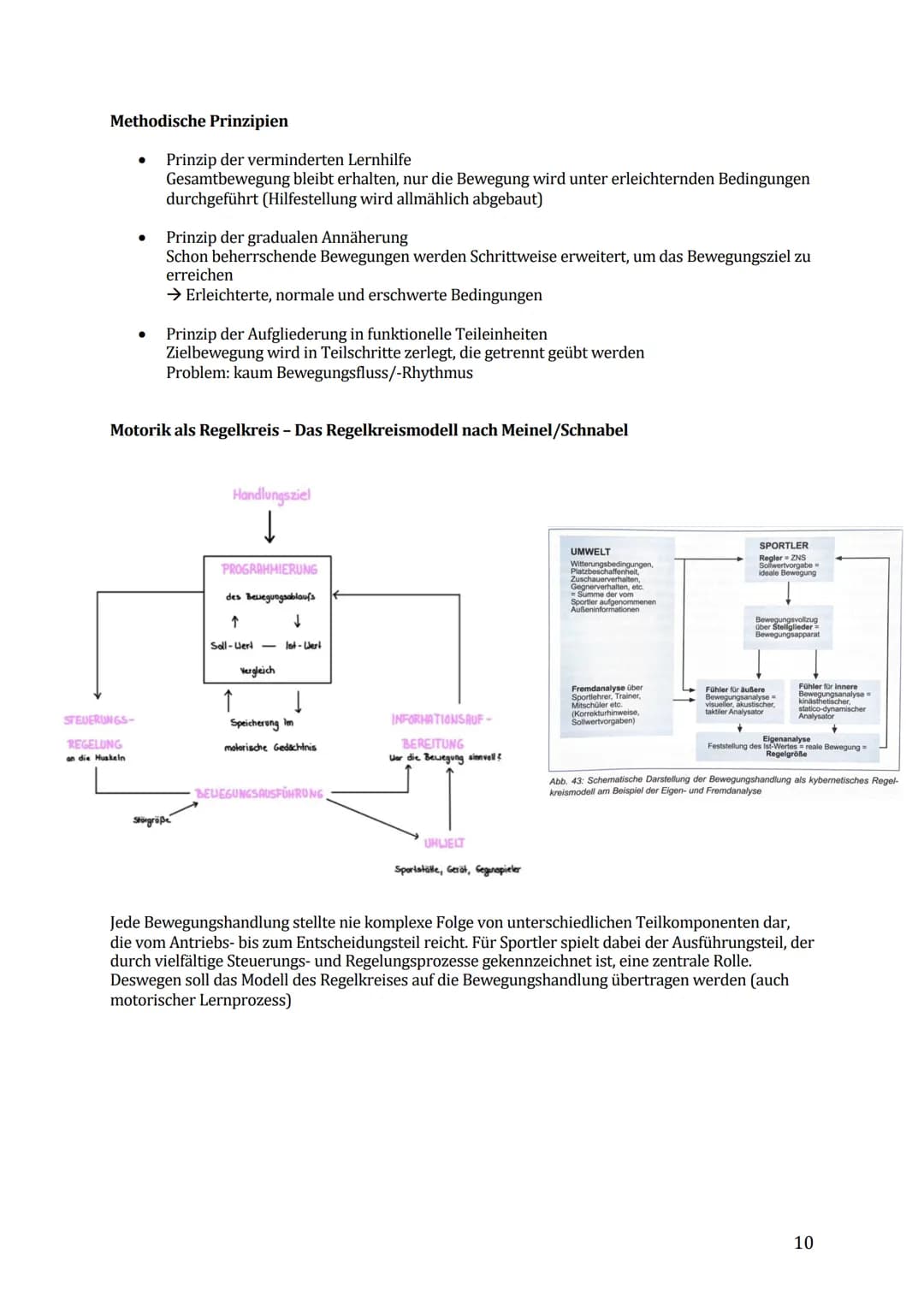 Sport Lernzettel Abitur

1. Themenfeld „Bewegungsanalyse"

Biomechanik Definition:

Die Biomechanik des Sports dient zur Beschreibung und Er