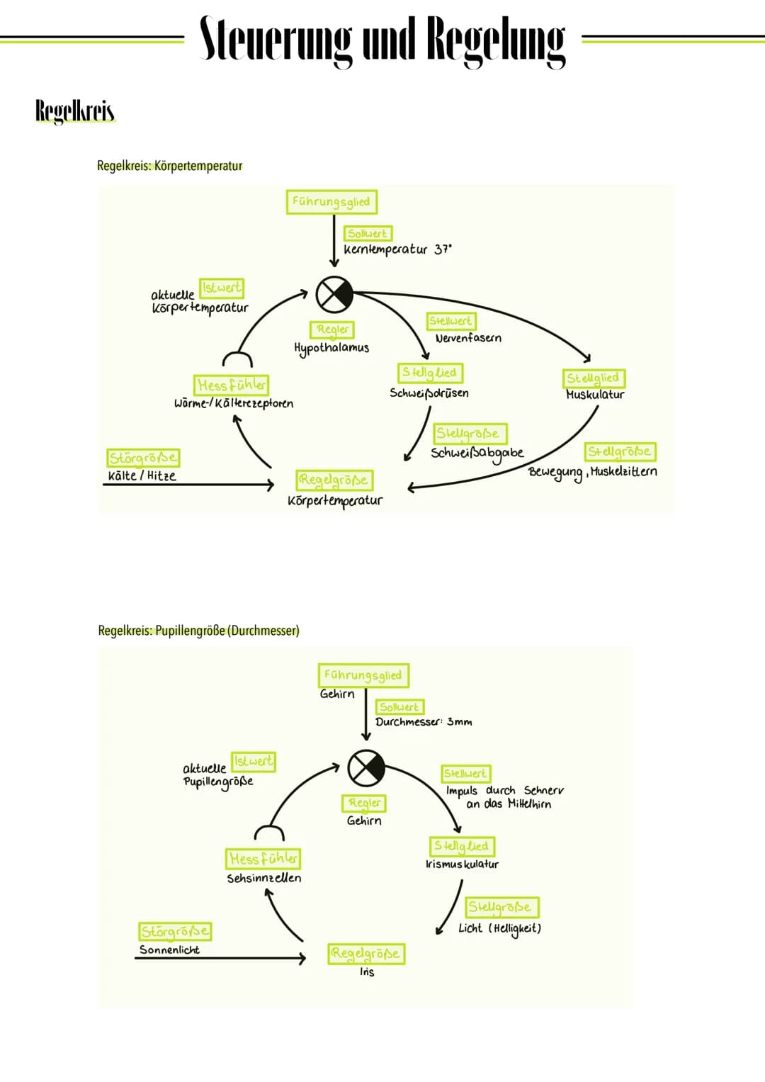 # Steuerung und Regelung

Regelkreis

| Begriff       | Definition                                                                |
| ------