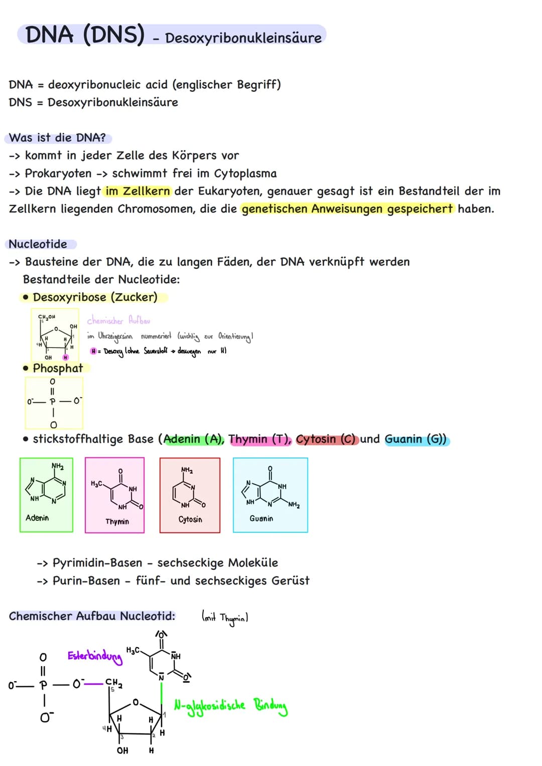 Genetik # Übersicht

Zytologie

Aufbau DNA

DNA-Replikation

Proteinbiosynthese
Transkription
Translation

Code Sonne

Genregulation
Substra