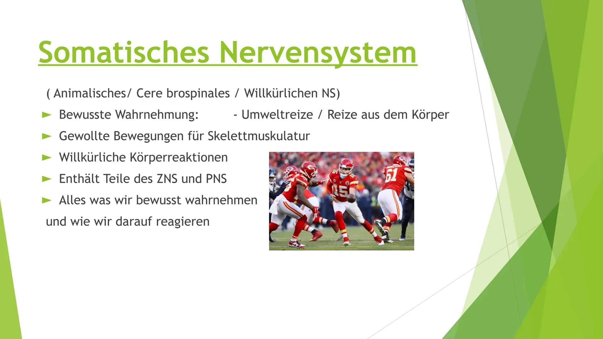 # Nervensysteme # Inhaltsverzeichnis

- Nervensystem/ Nervenzellen
- Zentrale Nervensystem
- Periphere Nervensystem
- Somatische Nervensyste