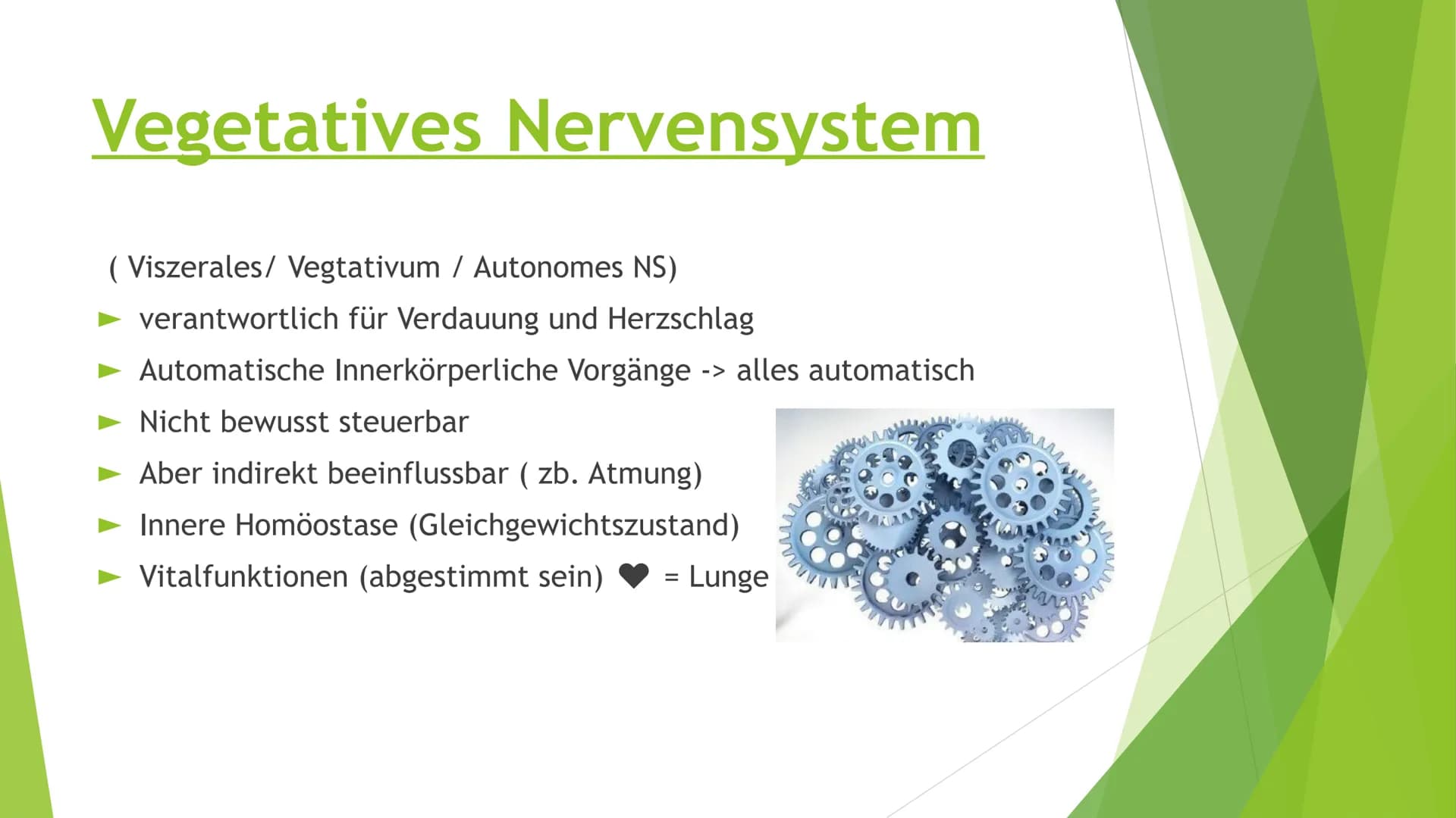 # Nervensysteme # Inhaltsverzeichnis

- Nervensystem/ Nervenzellen
- Zentrale Nervensystem
- Periphere Nervensystem
- Somatische Nervensyste