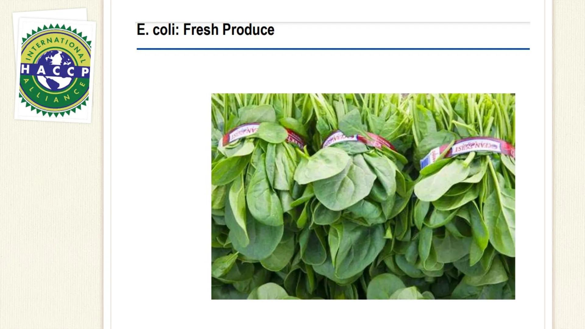 TERNATIONAL
HACCP
ALLIANCE

Hazards

PHYSICAL....

RAW MATERIALS
INGREDIENTS

WATER

AIR DUST

FOOD

FOOD HANDLERS / MAN

PACKAGING MATERIAI