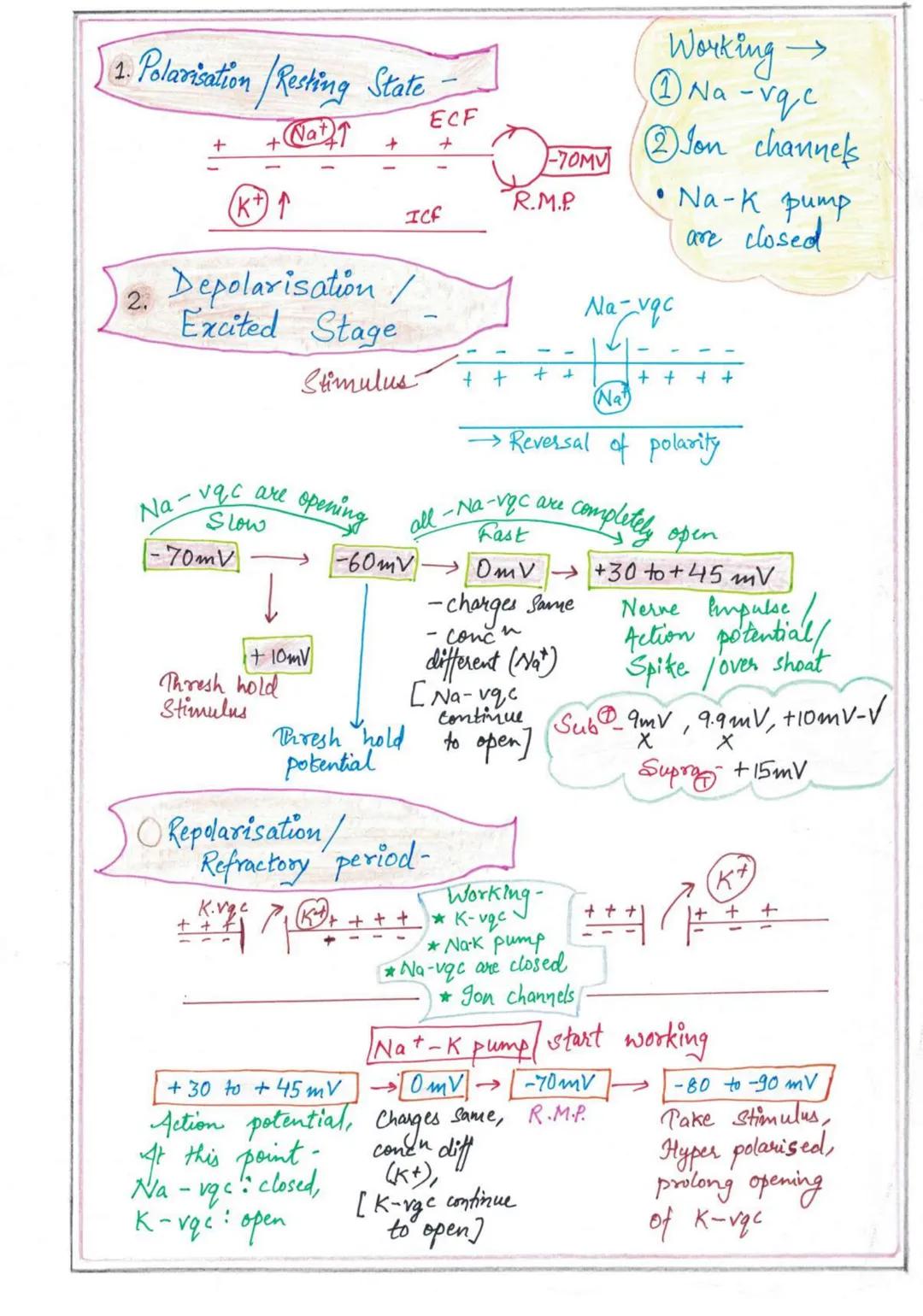NERVOUS
SYSTEMI
Nervous System
↓
High spud coordination
Endocrine System
↓
Slow speed coordination
Homeostatic State (tendency of body to re