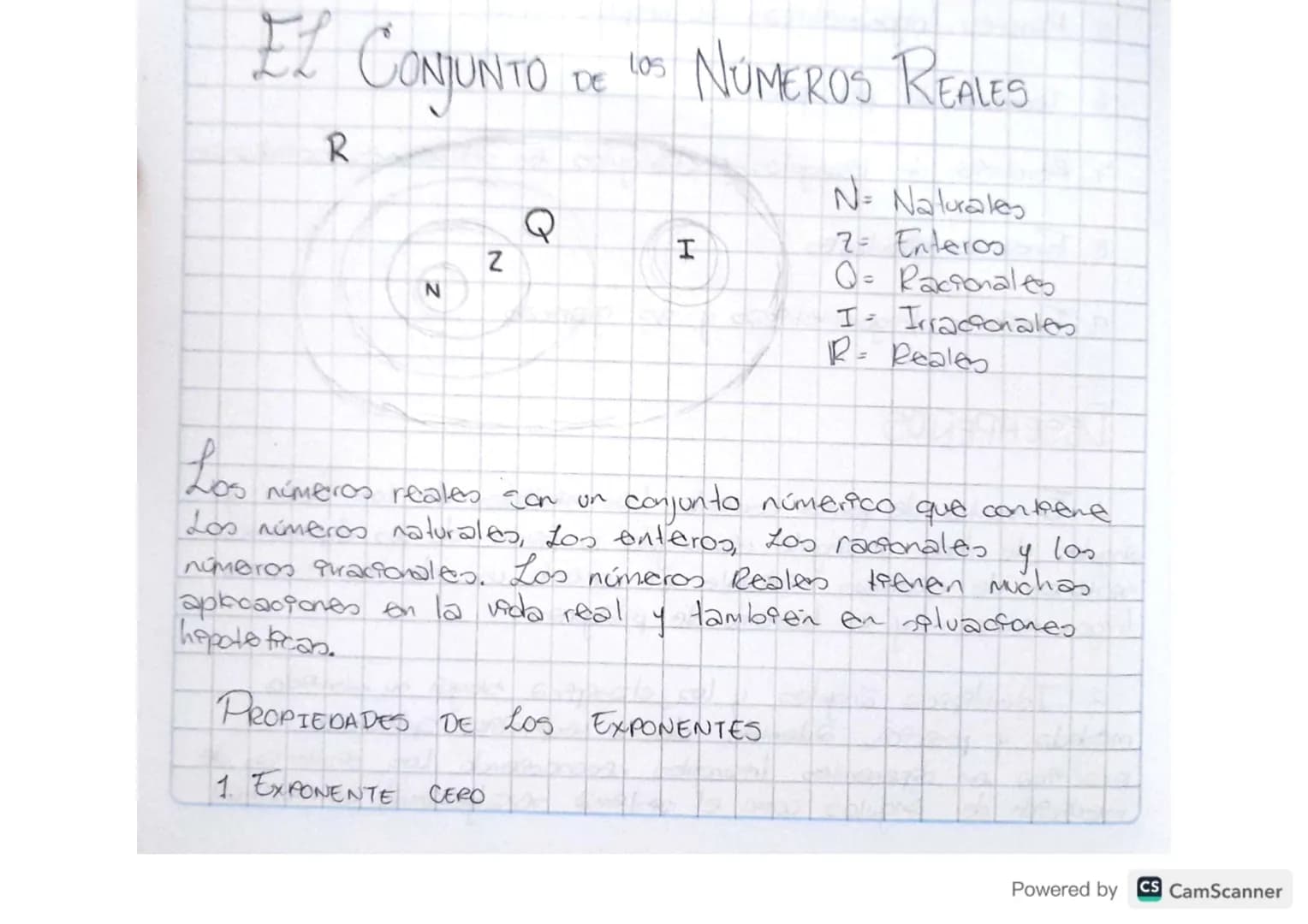 # EL CONJUNTO DE LOS NÚMEROS REALES

R

Q

I

Z

N

N= Naturales

7= Enteros

Q= Racionales

I- Irracionales

R= Reales

Los
números reales 