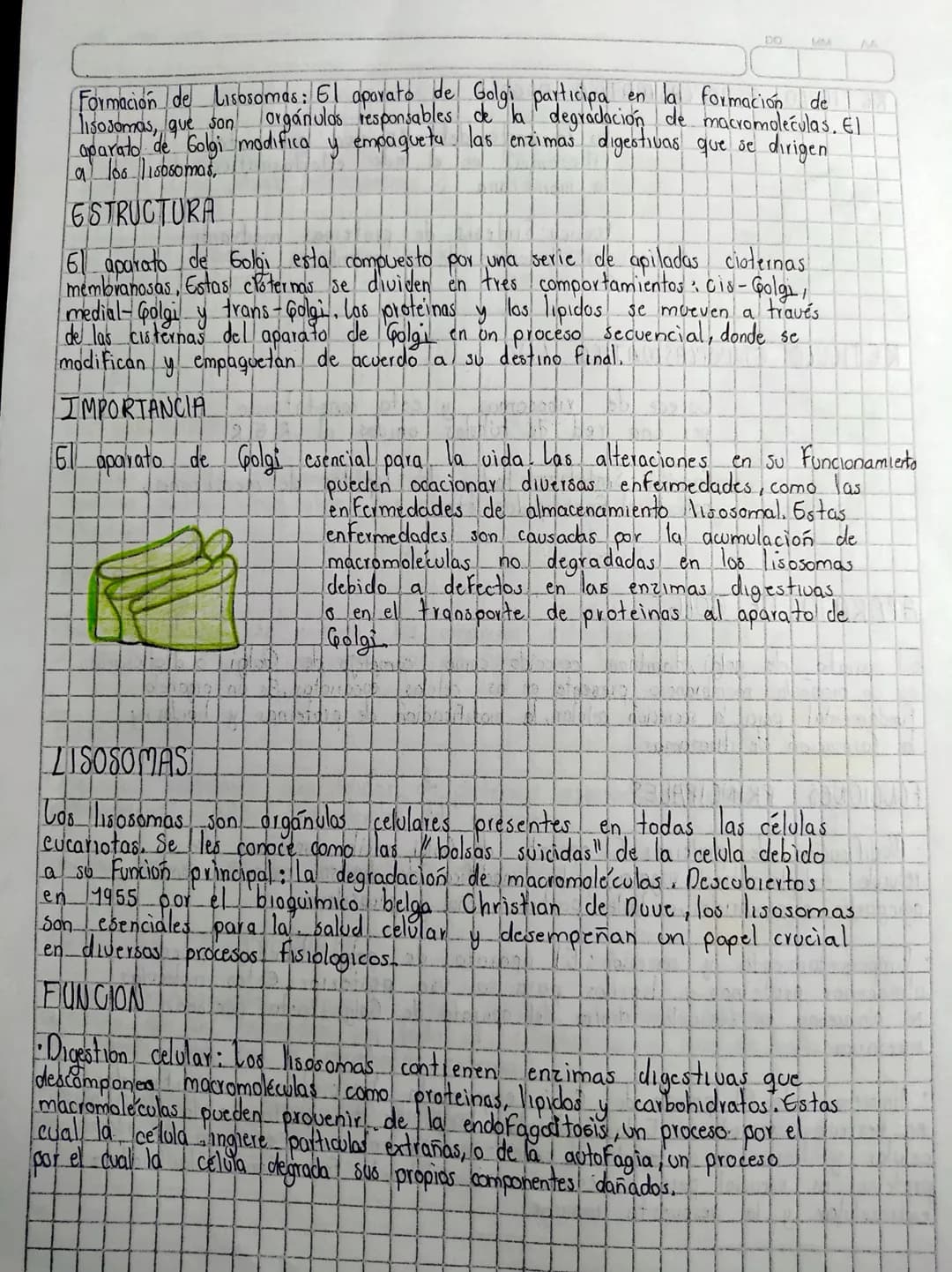 Ilamadas fagosomas

P
26-02
Ilamadas vesículas pinocíticas

GITOPLASMA
Espacio celular comprendido entre la membrana citoplasmática y
enpolt
