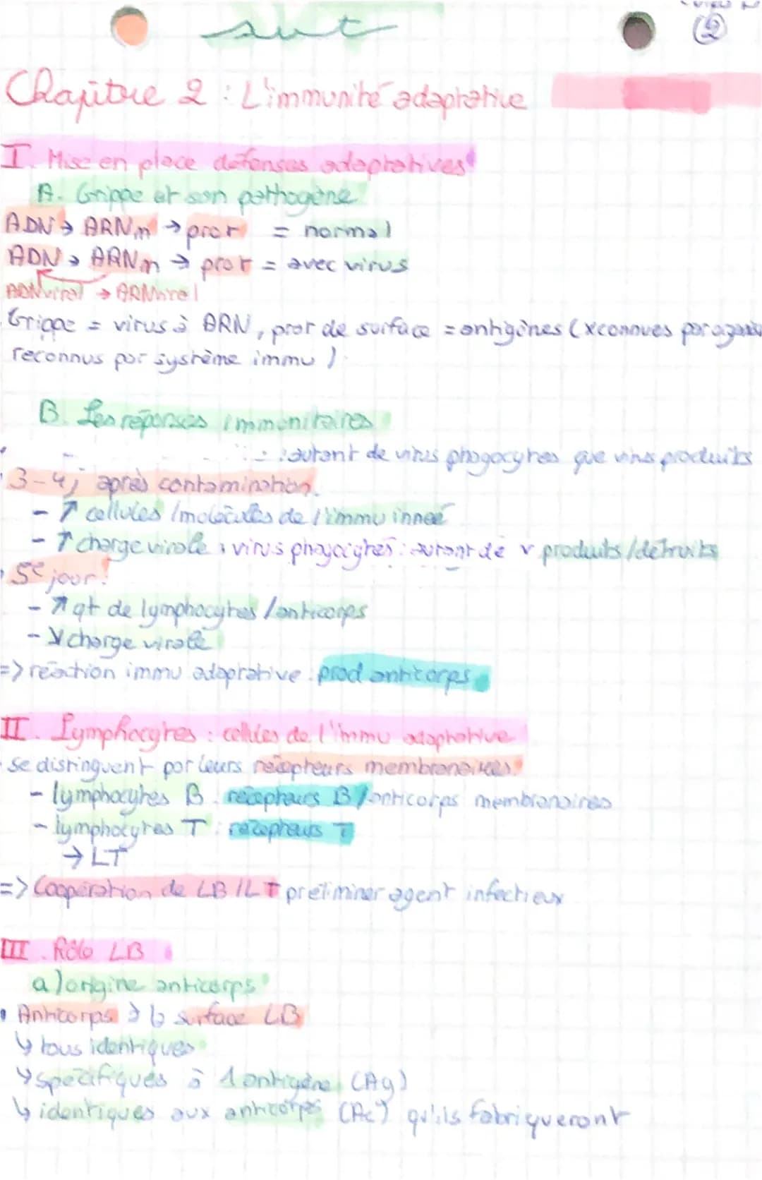 svt

Corps humain et sonte B

Chapitre 1: L'immunite innee

I. Cellules impliquees
*   Réponse immunitaire à n'importe quel endroit as l'org
