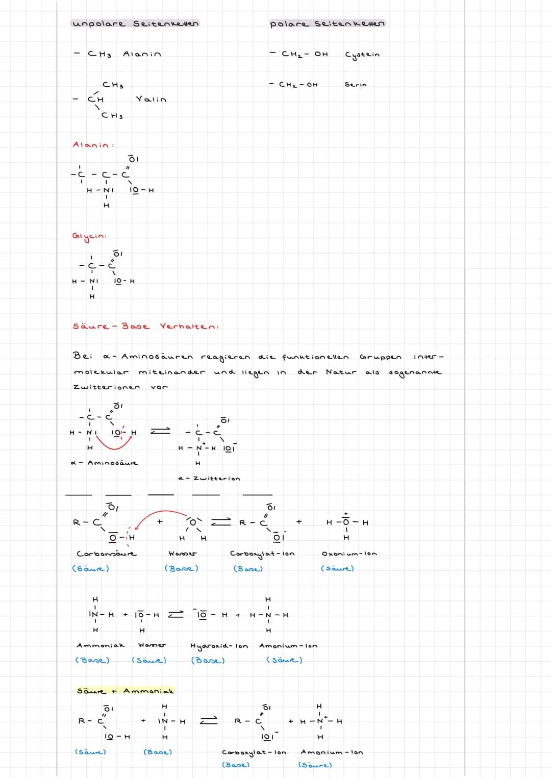 # LERNSKRIPT CHEMIE

Aminosäuгга

Definition: Aminosäuren sind Moleküle, die zwei funktionelle Gruppen besitzen.
Eine Carboxylgruppe (COOH) 