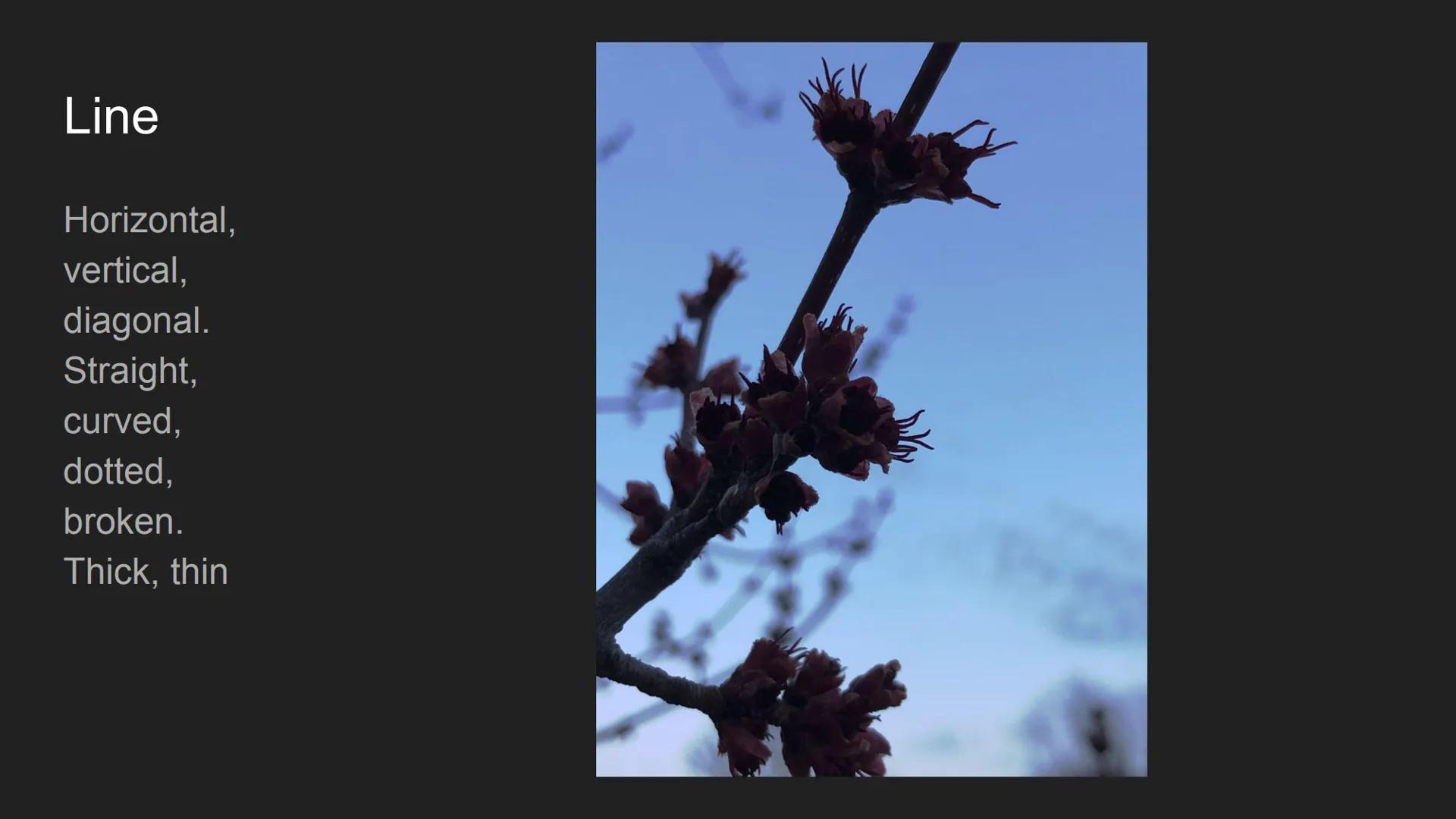 # The Elements and
# Principles of Design
Cecilya Guilbault 2nd hour Line

Horizontal,
vertical,
diagonal.
Straight,
curved,
dotted,
broken.