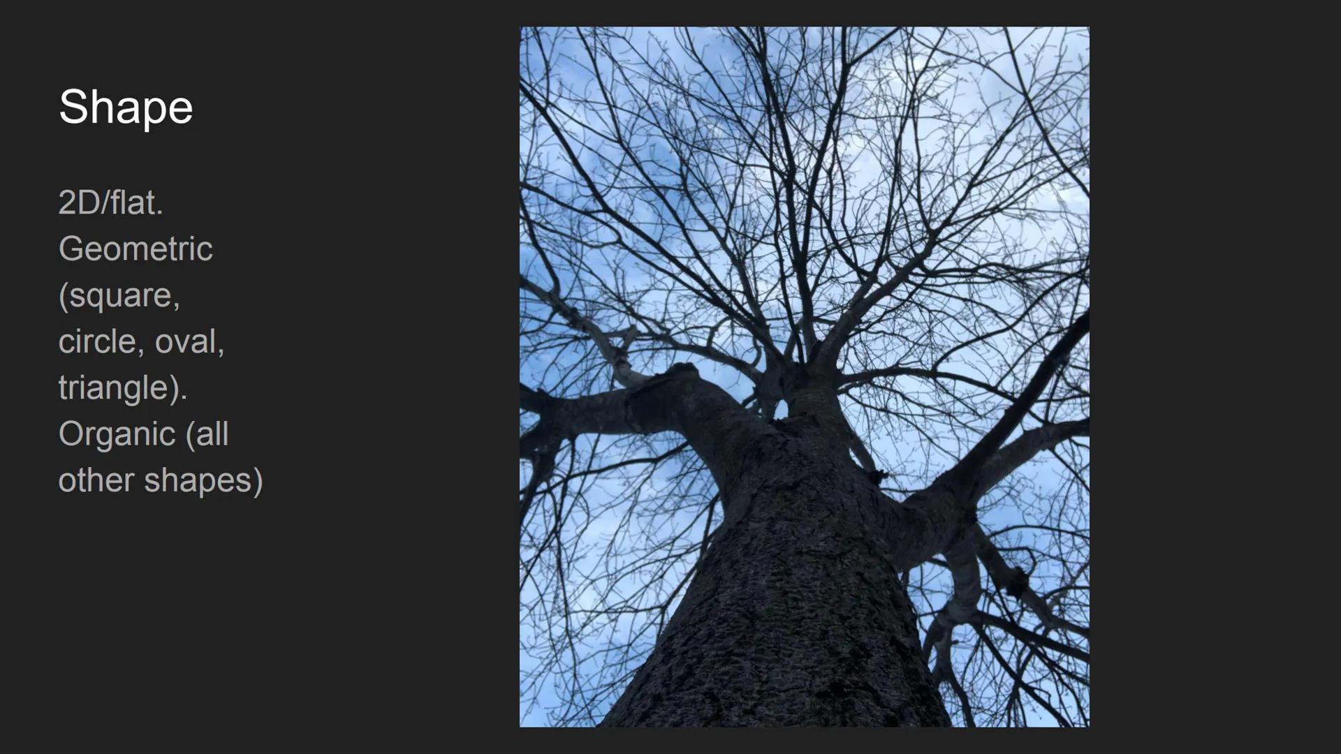 # The Elements and
# Principles of Design
Cecilya Guilbault 2nd hour Line

Horizontal,
vertical,
diagonal.
Straight,
curved,
dotted,
broken.