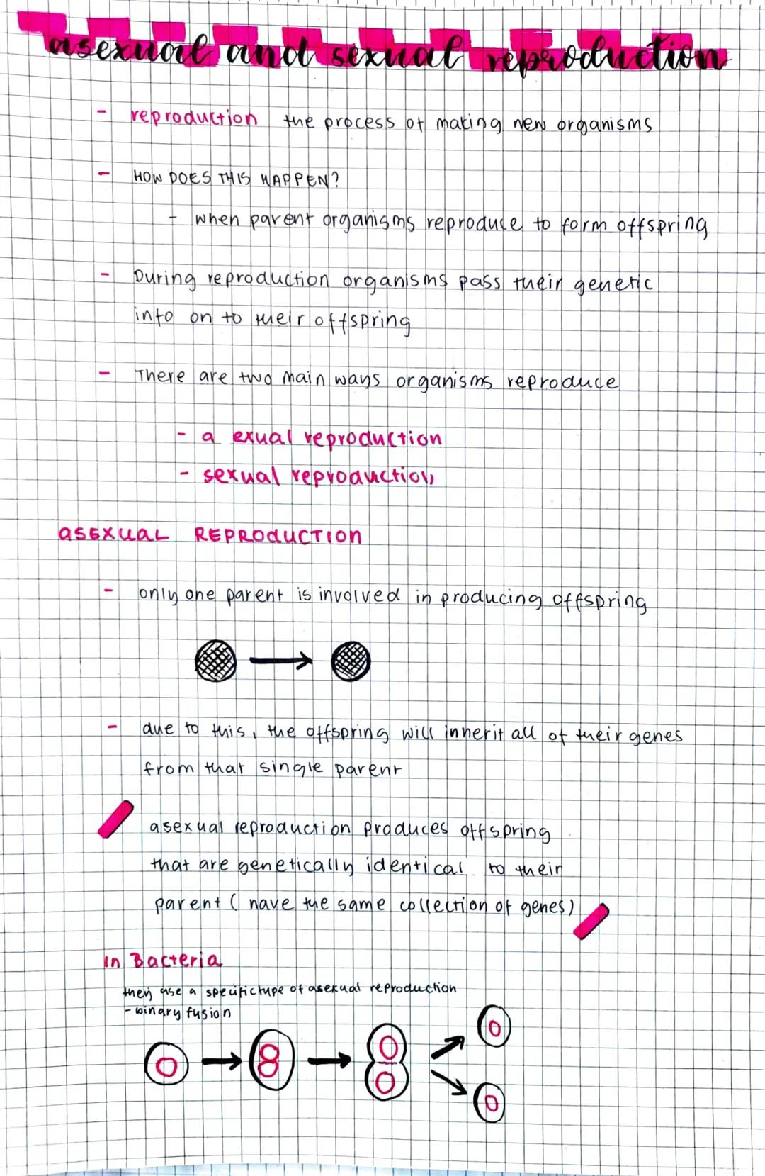 # asexual and sexual reproduction

- reproduction the process of making new organisms.

- HOW DOES THIS HAPPEN?

- when parent organisms rep