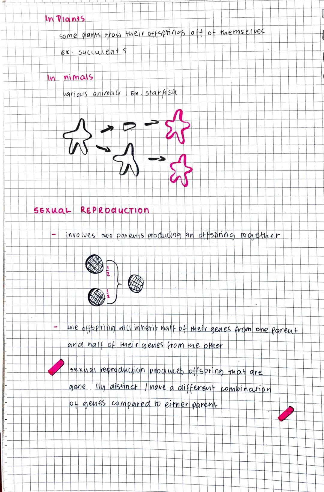 # asexual and sexual reproduction

- reproduction the process of making new organisms.

- HOW DOES THIS HAPPEN?

- when parent organisms rep