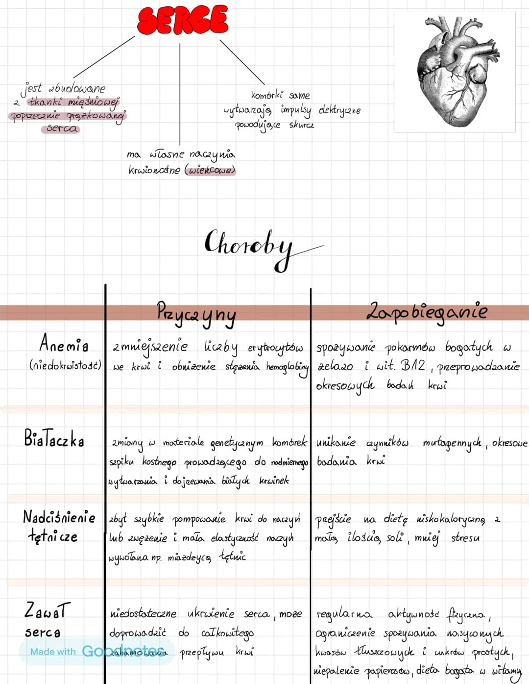 # UKŁAD KRAZENIA

LIMFATYCZNY
*   zbudowany jest 2
    → limfy krogzacej w

    naczyniack limfatycznych
*   szpiku kostnego wytwarzajoxegn
