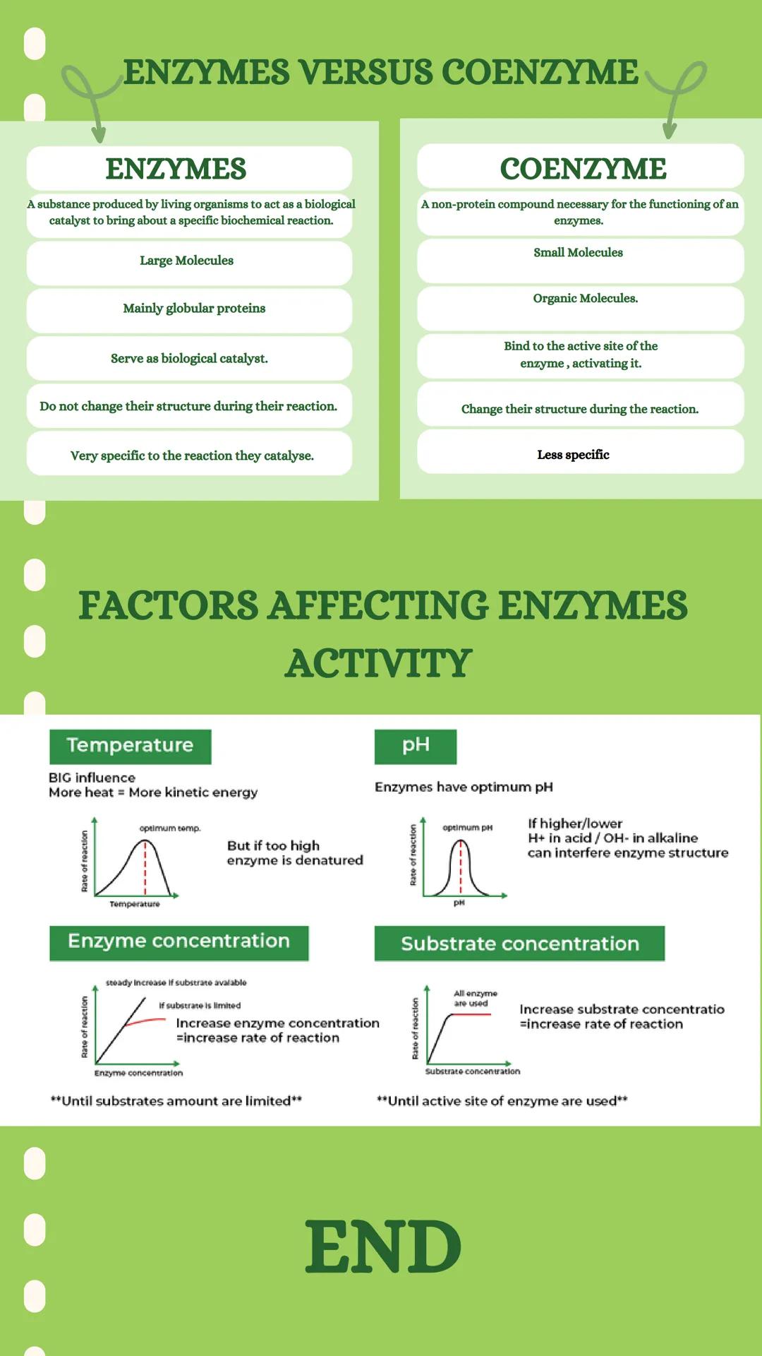 # ENZYMES

01 DEFINITION

Enzymes are biological molecules that act as catalysts,
speeding up chemical reactions in living organisms by
lowe