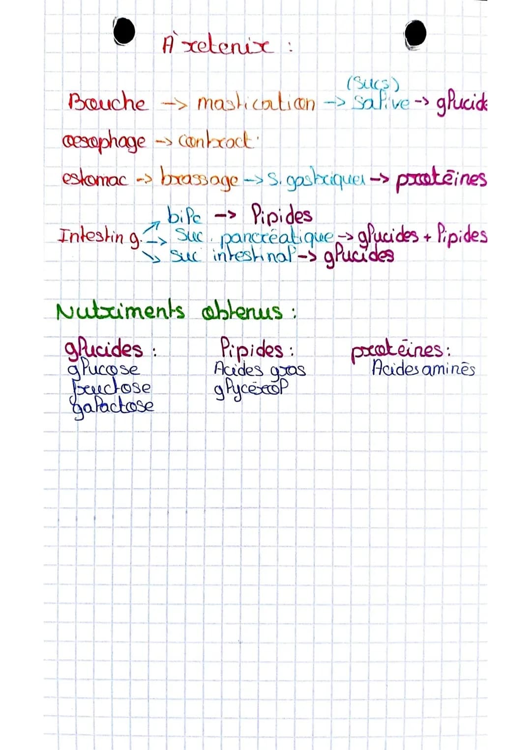 ESAE

chil

# La Digestion

D

*   organer Tubes digestif: - bouche
    - coexophage
    - cofon
    - anus
    - xedum
    - Intestin gxéfe