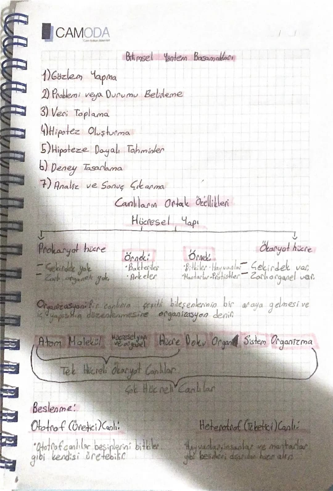 # BİYOLOJİ

Biyoloji Nedir?

• Biyoloji, canlıların yapılarını ve isleuterini inceleyerek yaşamın
dofasının anlaşılmasına yardımcı olan bili