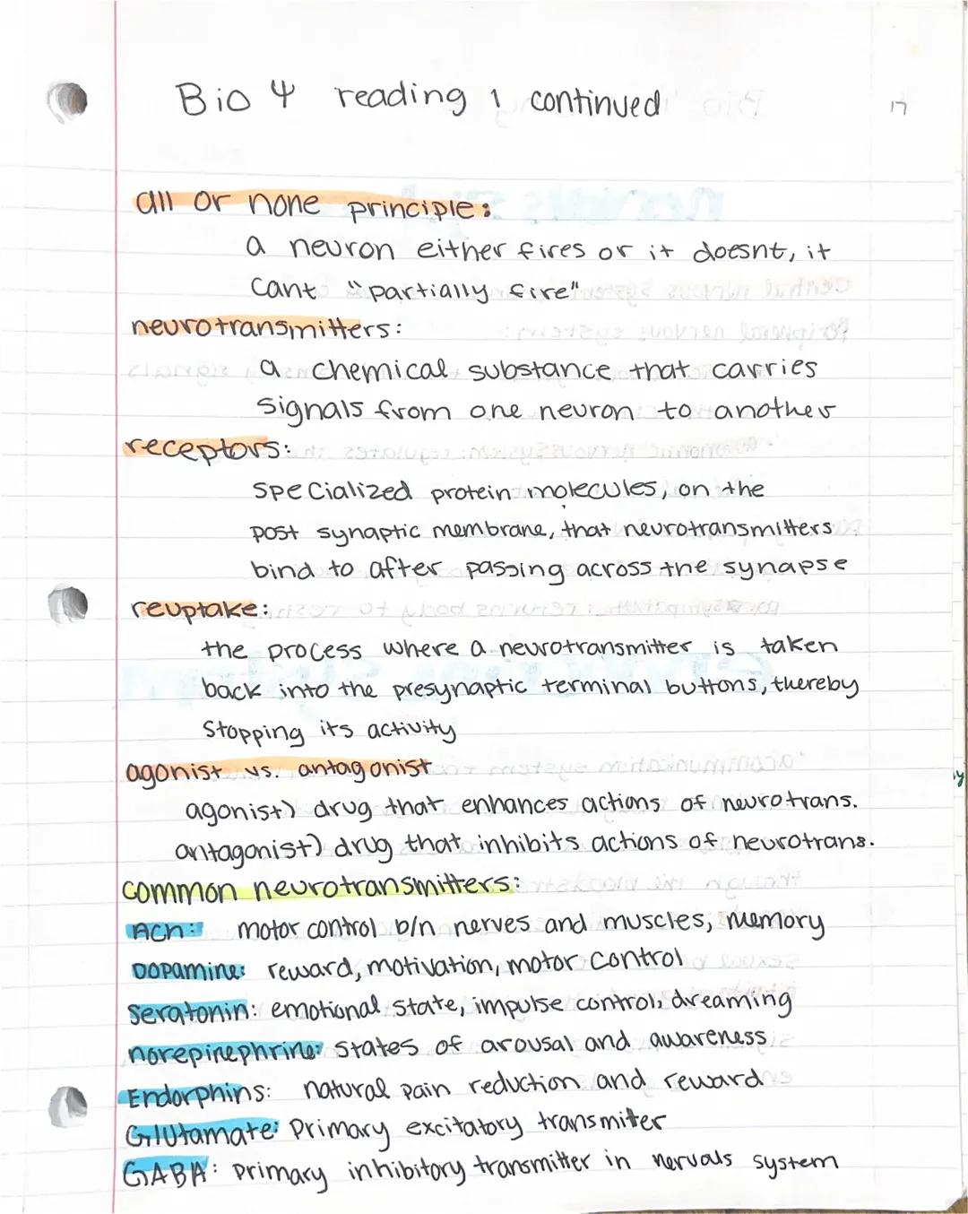 Le
Bio Psych, reading
Types of Neurons:
nostosinum MON 107
sensory neurons detect info from the physical world
and pass that information to 