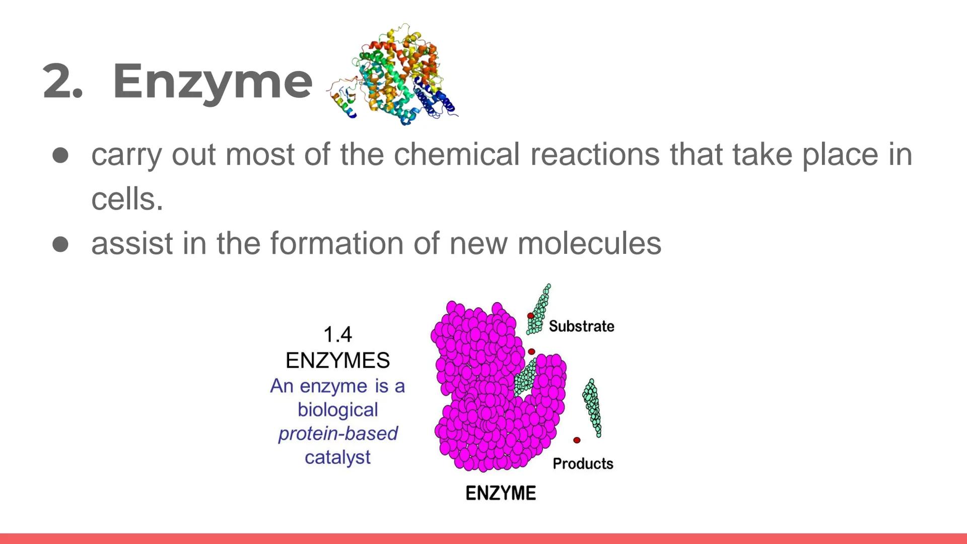 # PROTEIN

Protein. PROTEIN # PROTEINS

- It is a large biomolecule, it is made of one or more
long chains of amino acid residues.
- There a