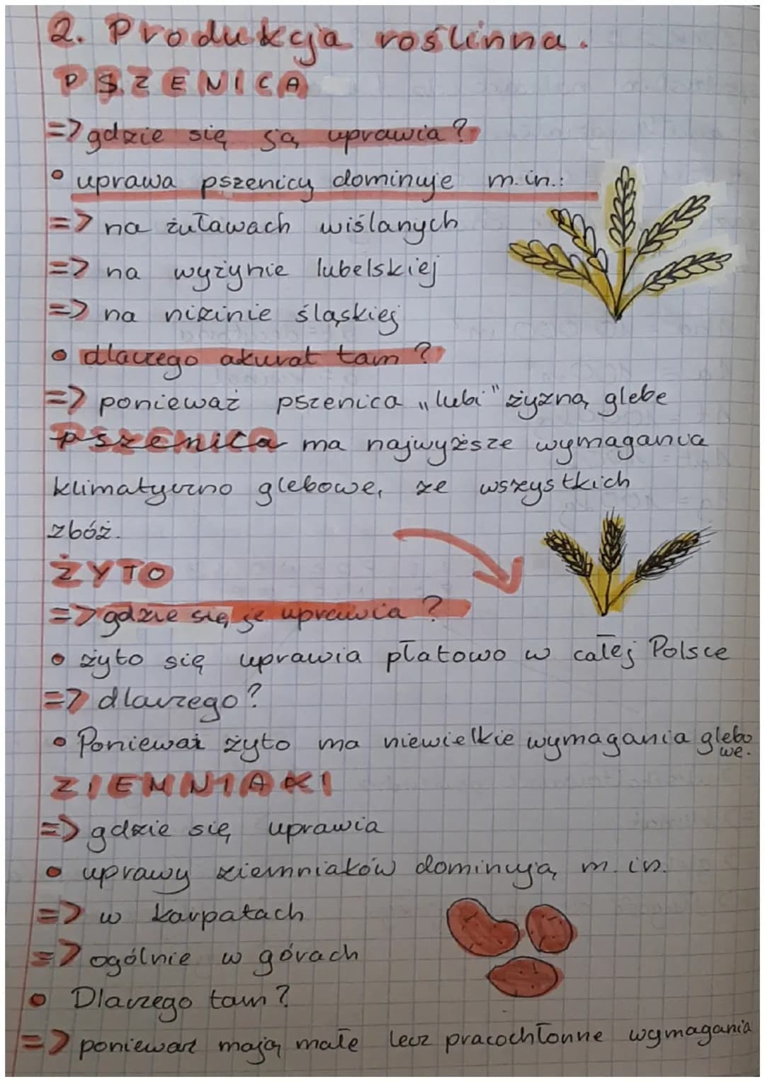 # GEOGRAFIA

ROLIC T WO I PRZEMYSŁ

POLSK!

1. Warunki rozwoju rolnictwa.

CO WDEYWA NA ROτωός

ROLNICT WA?

=> klimat => gleby

=> ukształt