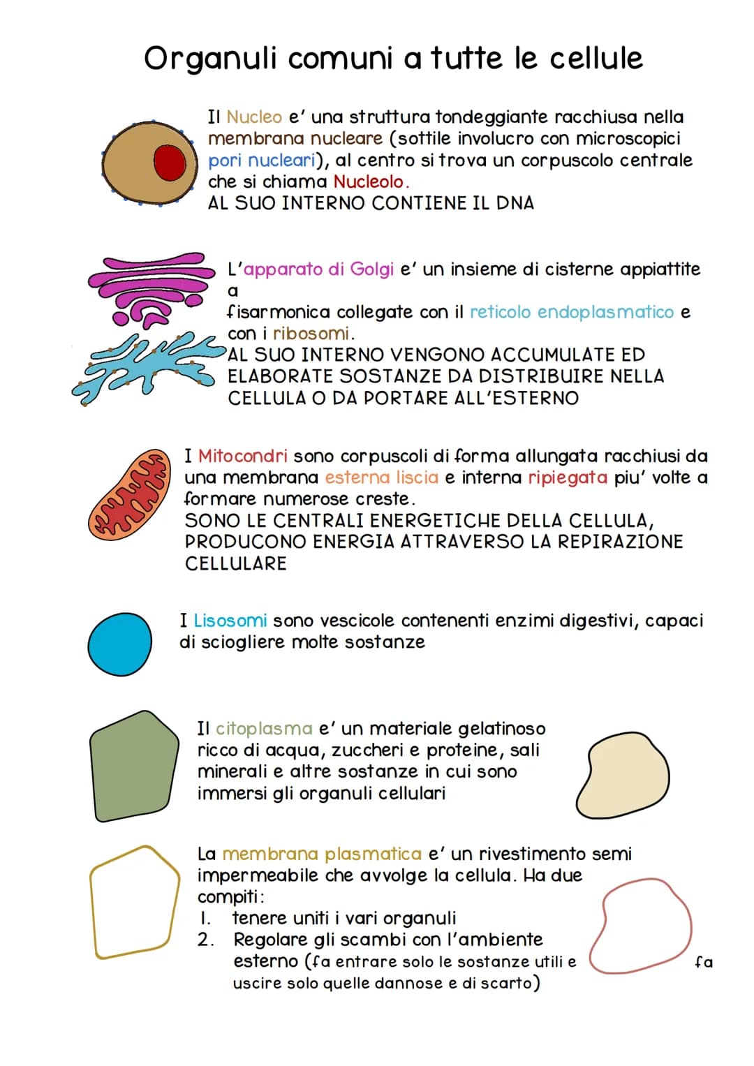 # CELLULA

La cellula e' la piu' piccola unita' dei viventi, svolge in modo autonomo le funzioni vitali
di un organismo.
Nasce da un'altra c
