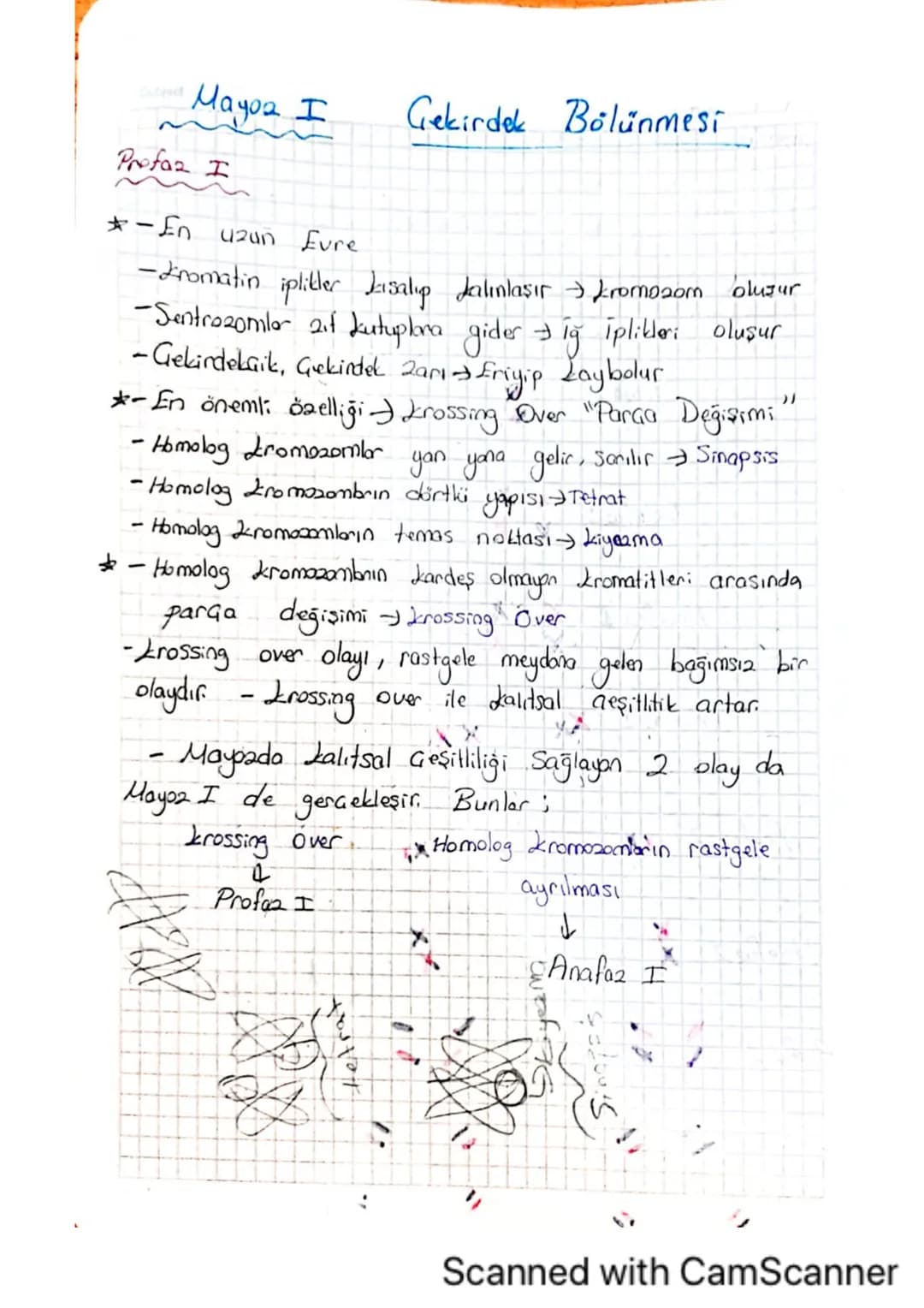 Subject:

Mitaala İlgili Kavramlar
Date
-A)kromosomikanın yapısı ve hücre bölünmesindeki rolü-

A-Mitoa, döllenmiş yumurta hücresindeki kali