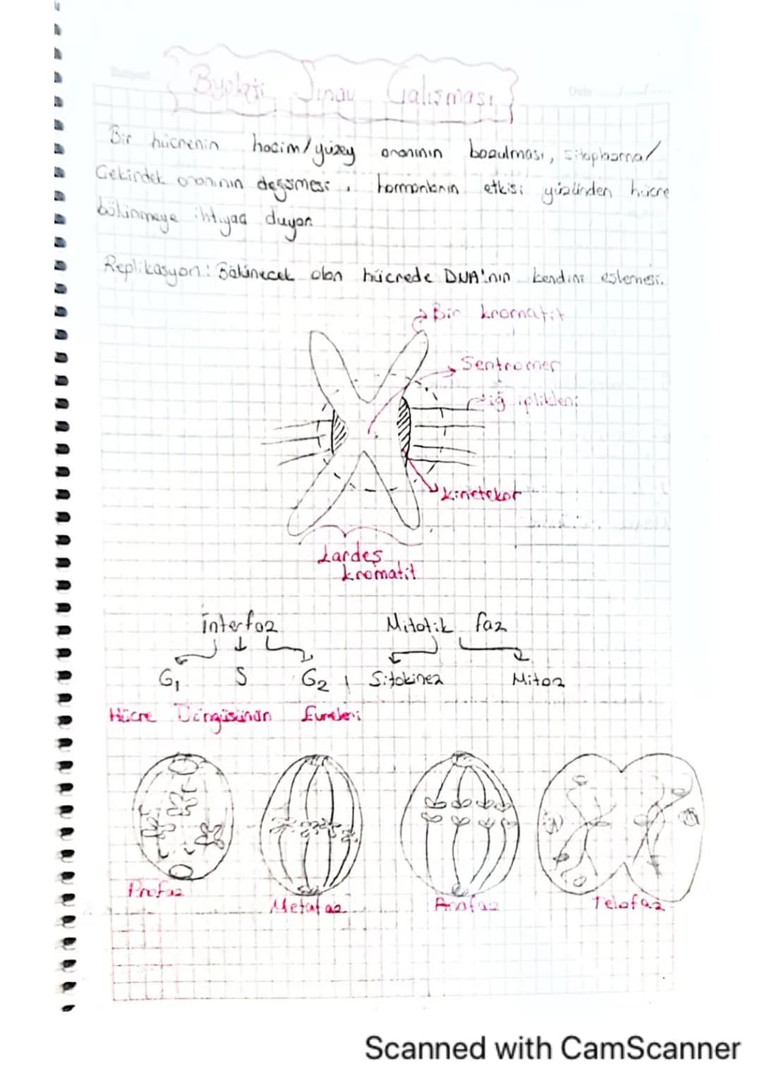 Subject:

Mitaala İlgili Kavramlar
Date
-A)kromosomikanın yapısı ve hücre bölünmesindeki rolü-

A-Mitoa, döllenmiş yumurta hücresindeki kali