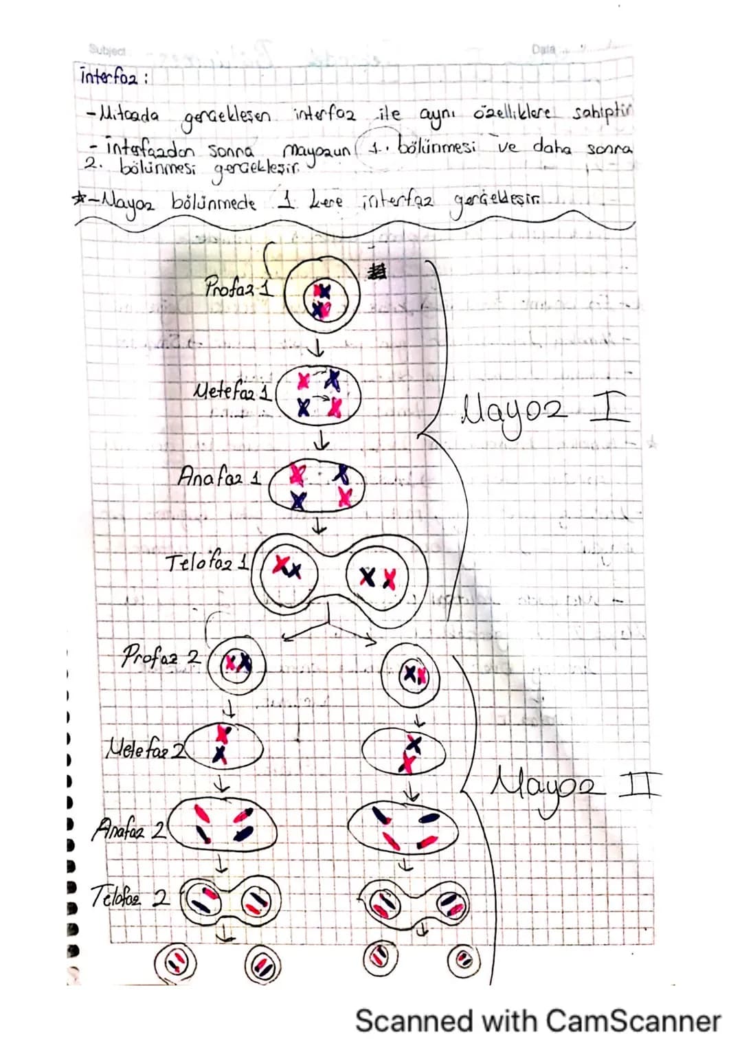 Subject:

Mitaala İlgili Kavramlar
Date
-A)kromosomikanın yapısı ve hücre bölünmesindeki rolü-

A-Mitoa, döllenmiş yumurta hücresindeki kali