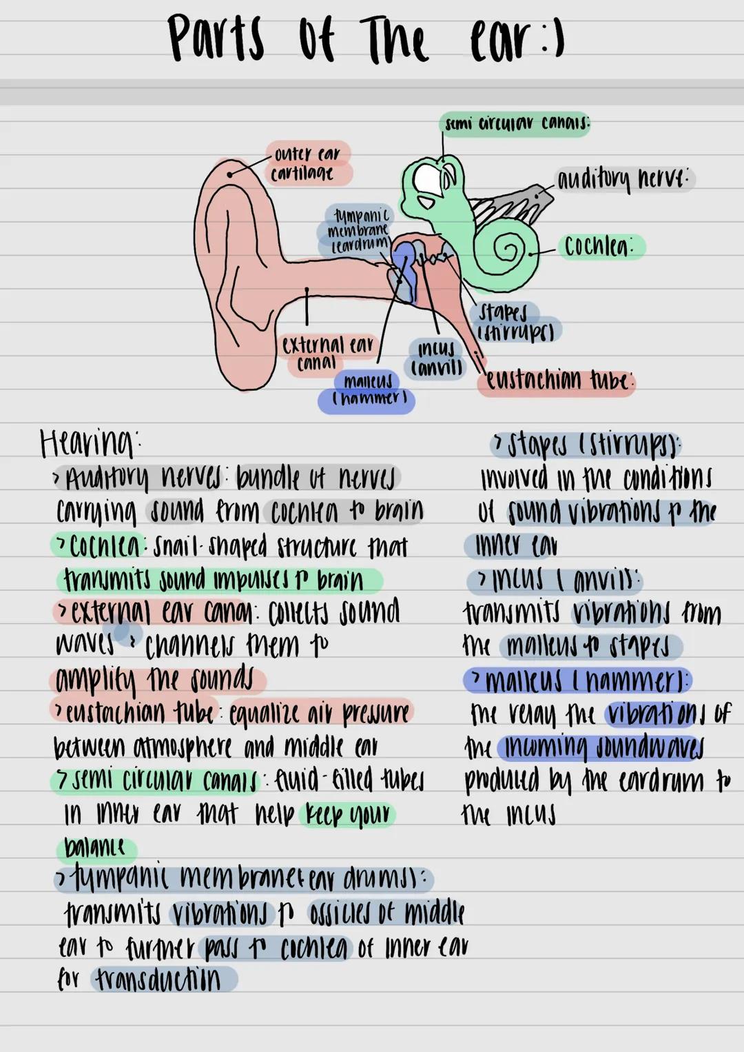 
<p>The trichomatic theory of color vision suggests that humans only perceive 3 colors of light: red, blue, and green. This theory provides 