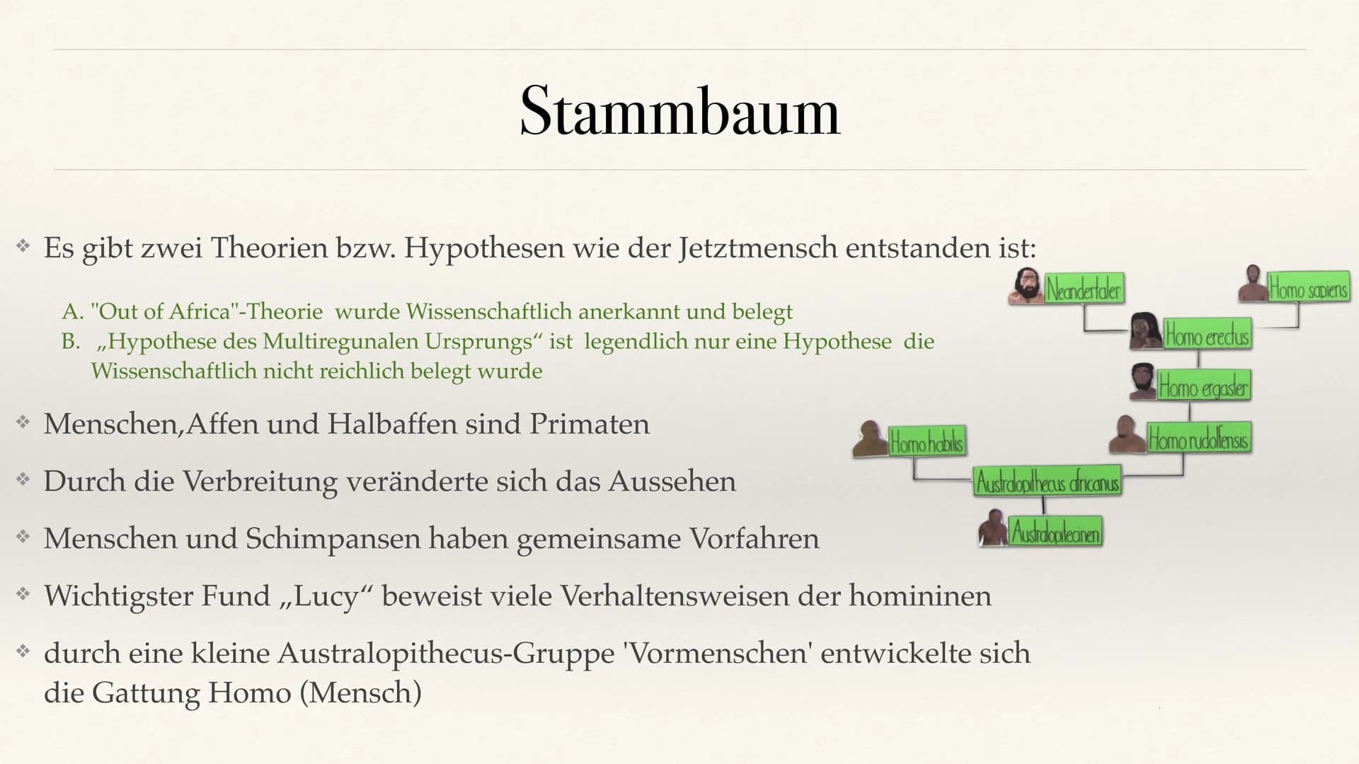 # Der Stammbaum des Menschen Evolution der Menschheit # Inhaltsverzeichnis

• Stammbaum der Menschen
• Homo Habilis
 A. Biografie
 B. Lebens