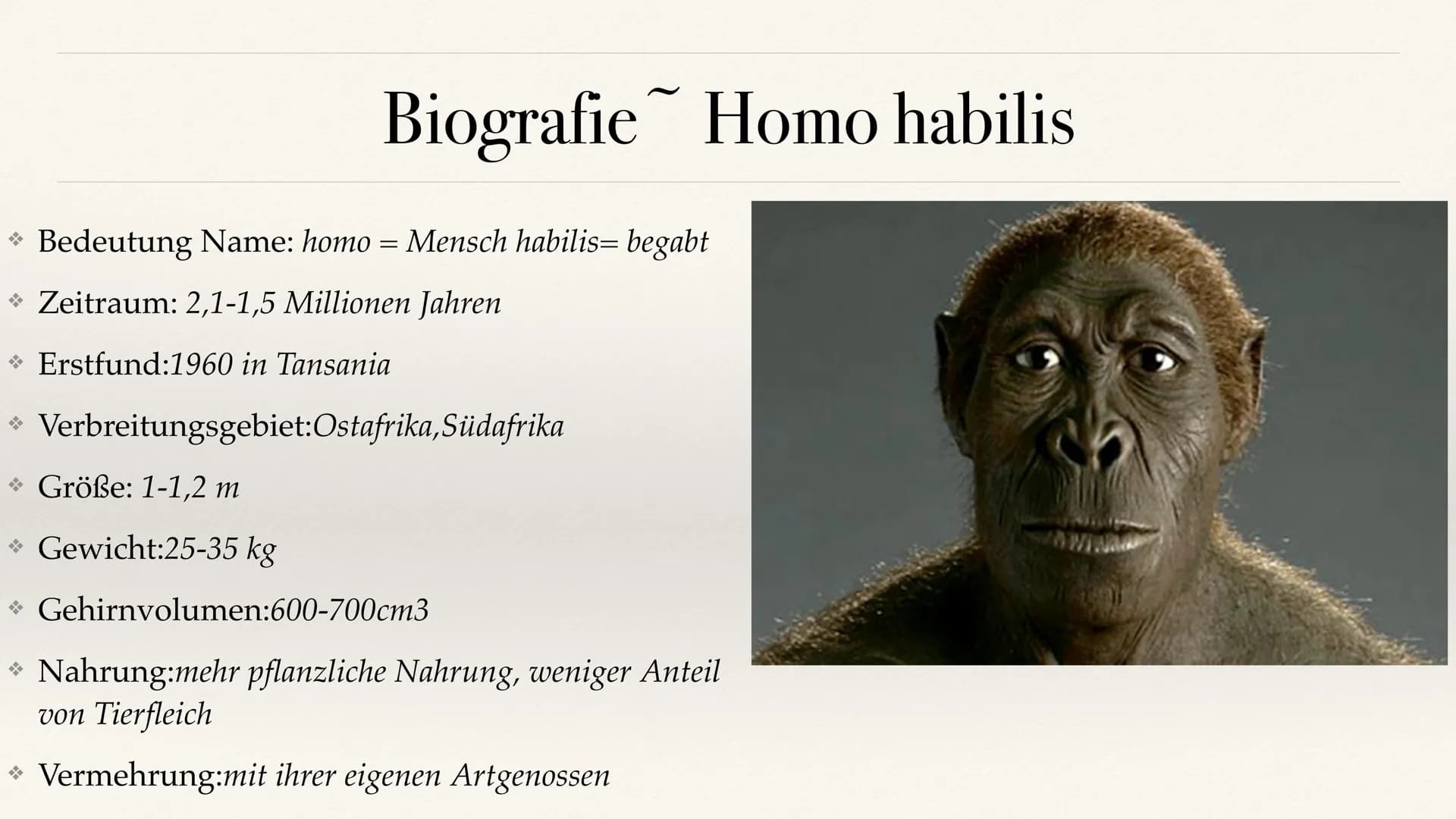 # Der Stammbaum des Menschen Evolution der Menschheit # Inhaltsverzeichnis

• Stammbaum der Menschen
• Homo Habilis
 A. Biografie
 B. Lebens