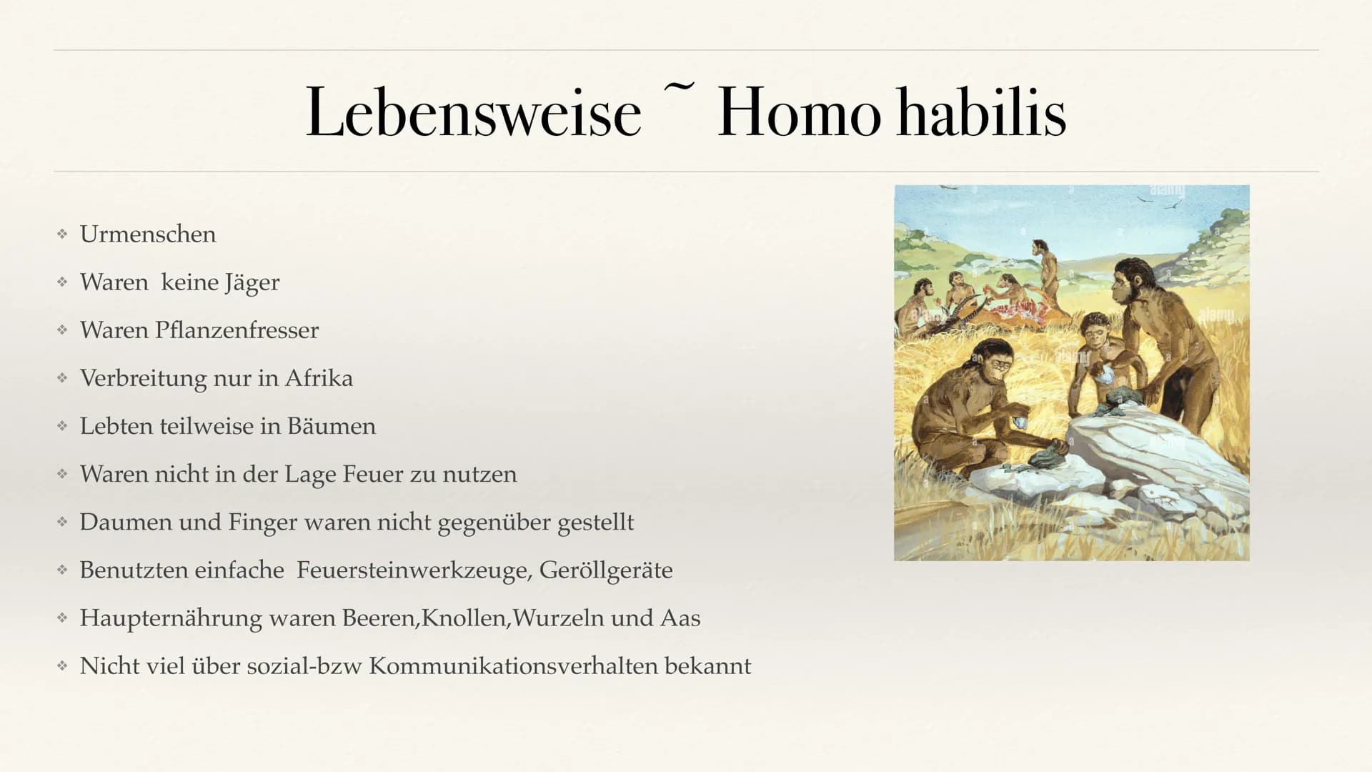 # Der Stammbaum des Menschen Evolution der Menschheit # Inhaltsverzeichnis

• Stammbaum der Menschen
• Homo Habilis
 A. Biografie
 B. Lebens