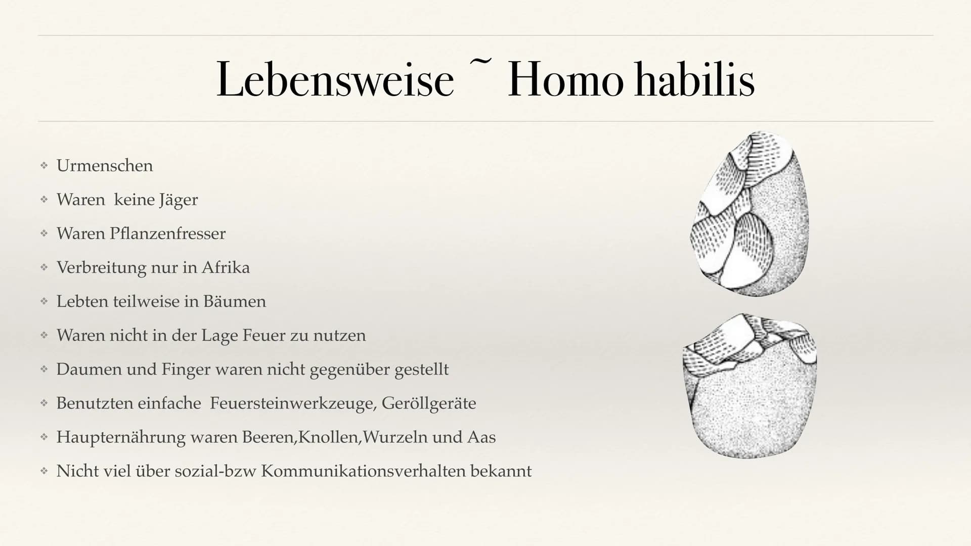 # Der Stammbaum des Menschen Evolution der Menschheit # Inhaltsverzeichnis

• Stammbaum der Menschen
• Homo Habilis
 A. Biografie
 B. Lebens