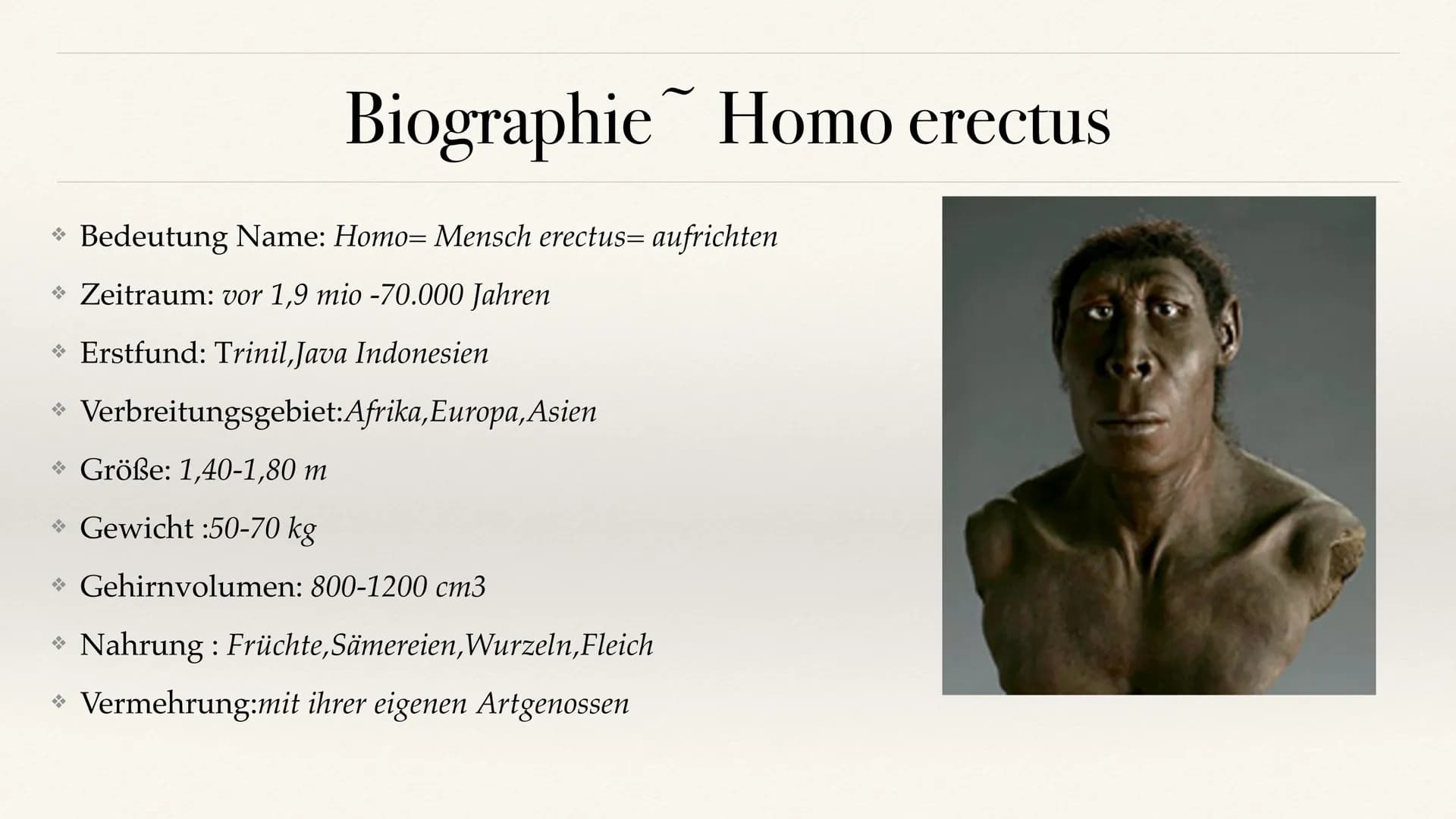 # Der Stammbaum des Menschen Evolution der Menschheit # Inhaltsverzeichnis

• Stammbaum der Menschen
• Homo Habilis
 A. Biografie
 B. Lebens