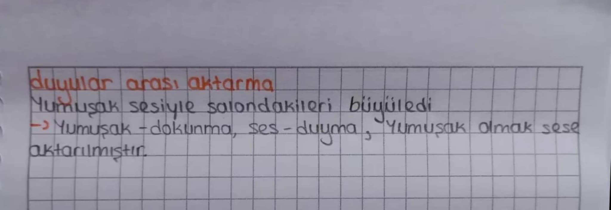 # TÜRKÇE

TEK ANLAMLILIK: Tek bir kavramı karşılayan, başka ani-
amlar kazanmayan sözcüklerdir.
- Ağaç, Termometre, kiremit

ÇOK ANLAMLILIK: