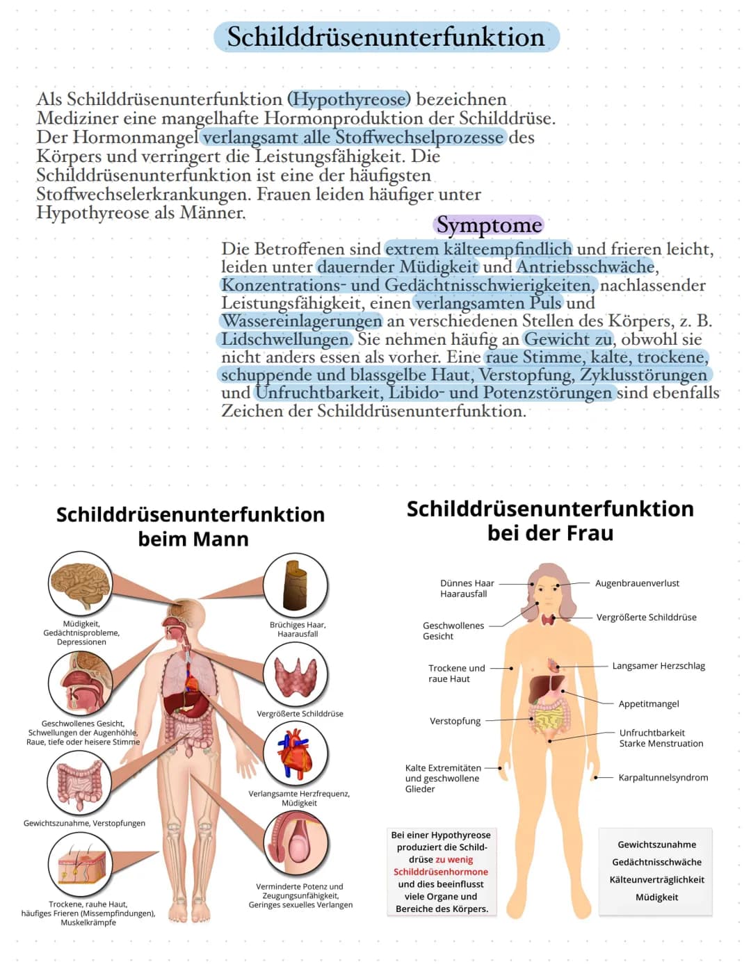 # Die Schilddrüse

Die Schilddrüse ist eine lebenswichtige Hormondrüse. Sie spielt eine große
Rolle für den Stoffwechsel, das Wachstum und d
