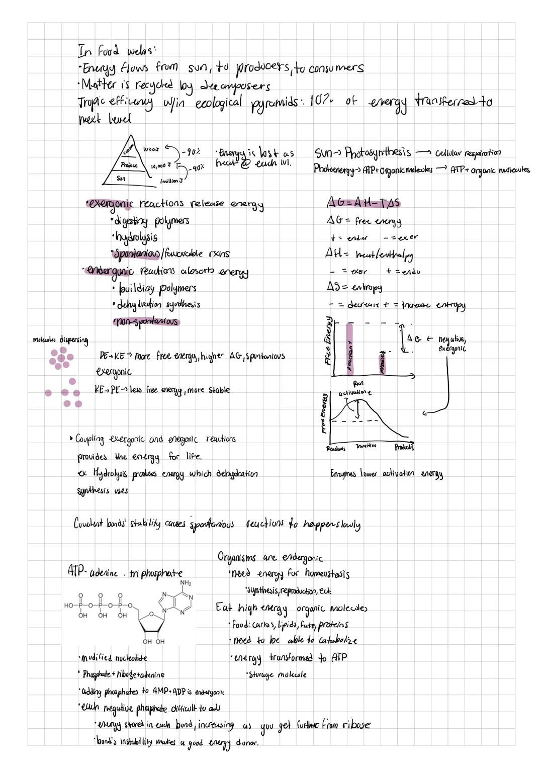 Biochem

*matter made of atoms

*Protons, neutrons, and electrons

*life is mostly made up of Curbon, Onygen, Hydroges, and Nitroges

*Secon