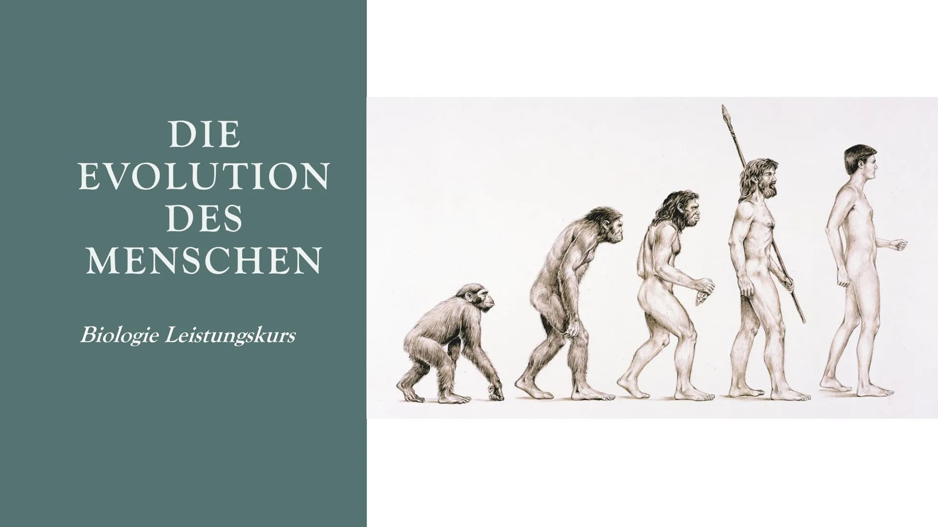 # DIE

# EVOLUTION

# DES

# MENSCHEN

Biologie Leistungskurs # GLIEDERUNG

1. Evolution des Menschen einfach erklärt
2. Der Mensch und der 