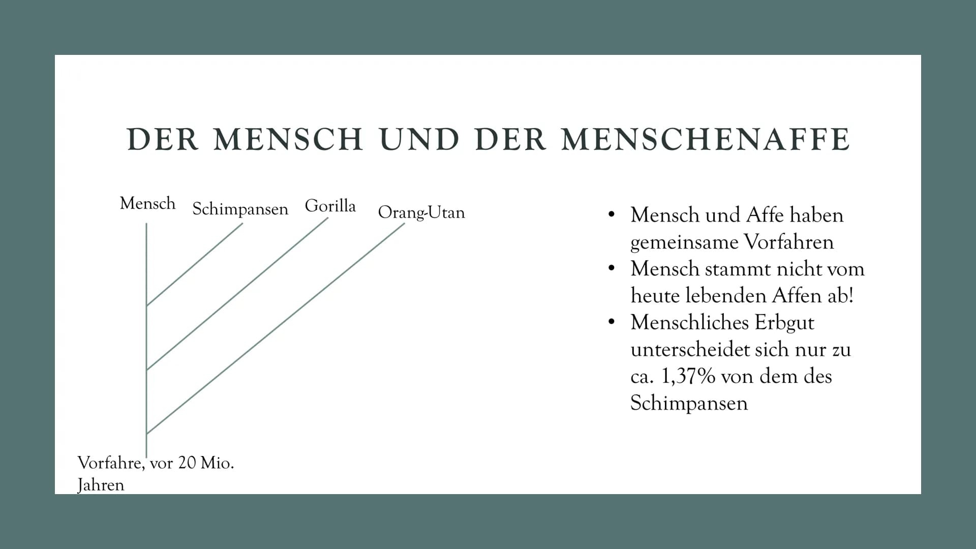 # DIE

# EVOLUTION

# DES

# MENSCHEN

Biologie Leistungskurs # GLIEDERUNG

1. Evolution des Menschen einfach erklärt
2. Der Mensch und der 