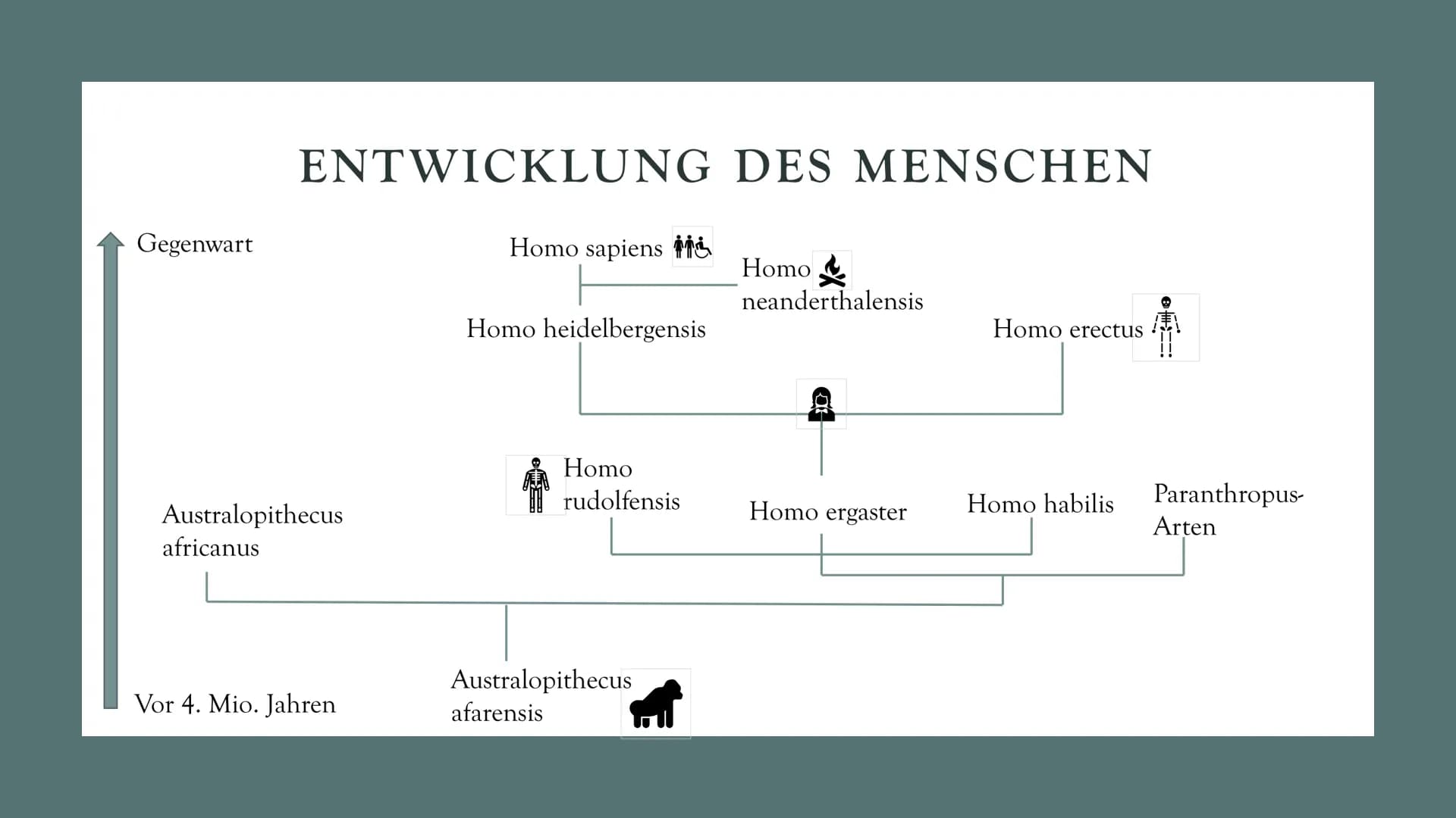 # DIE

# EVOLUTION

# DES

# MENSCHEN

Biologie Leistungskurs # GLIEDERUNG

1. Evolution des Menschen einfach erklärt
2. Der Mensch und der 
